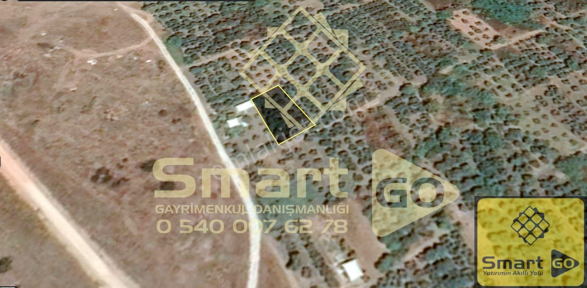 Gönen Paşaçiftlik'de 662 M² Yatırıma Uygun Satılık Bağ - Görsel 15