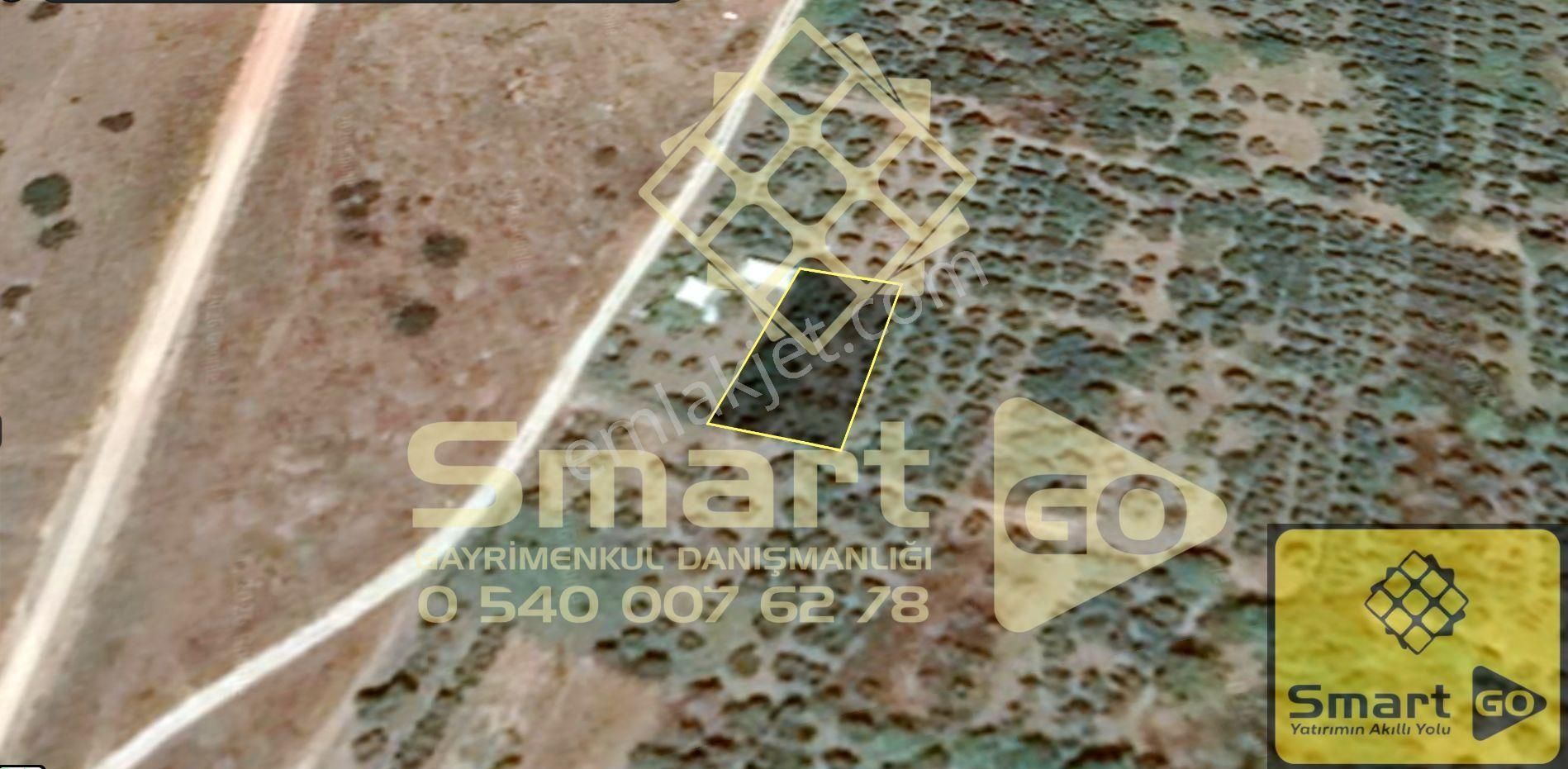 Gönen Paşaçiftlik'de 662 M² Yatırıma Uygun Satılık Bağ - Görsel 13