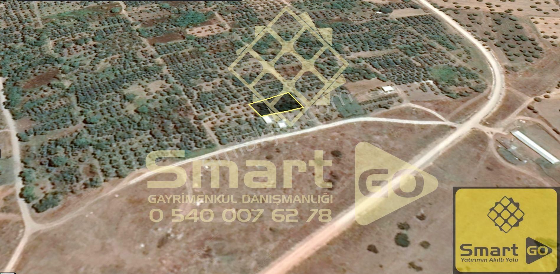 Gönen Paşaçiftlik'de 662 M² Yatırıma Uygun Satılık Bağ - Görsel 3