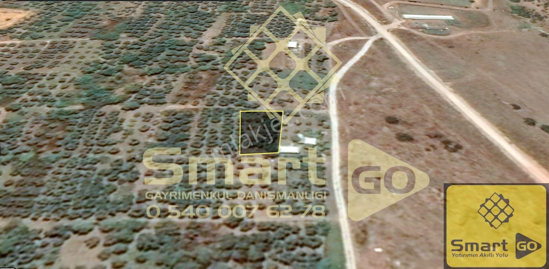 Gönen Paşaçiftlik'de 662 M² Yatırıma Uygun Satılık Bağ - Görsel 21