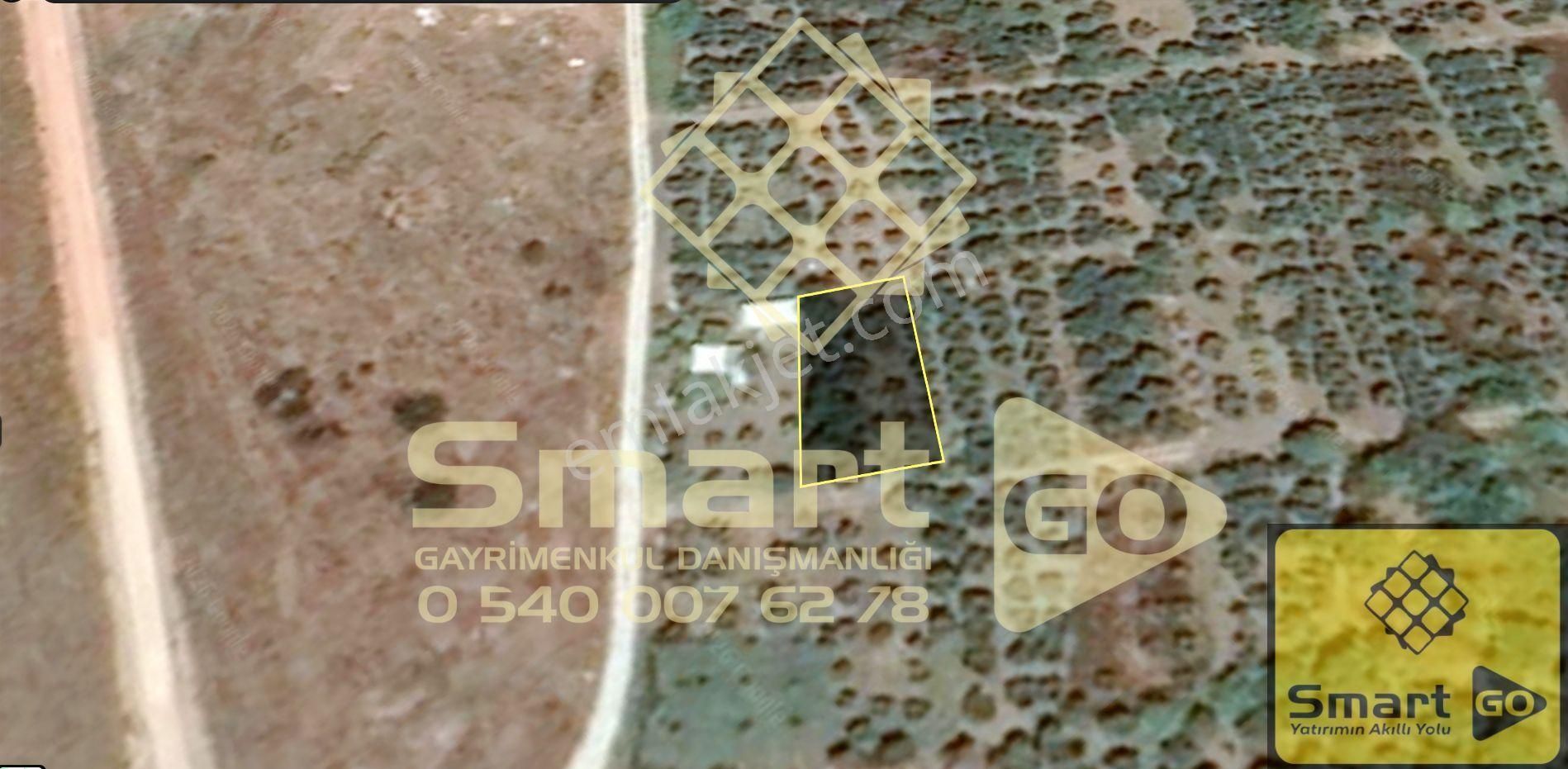 Gönen Paşaçiftlik'de 662 M² Yatırıma Uygun Satılık Bağ - Görsel 14