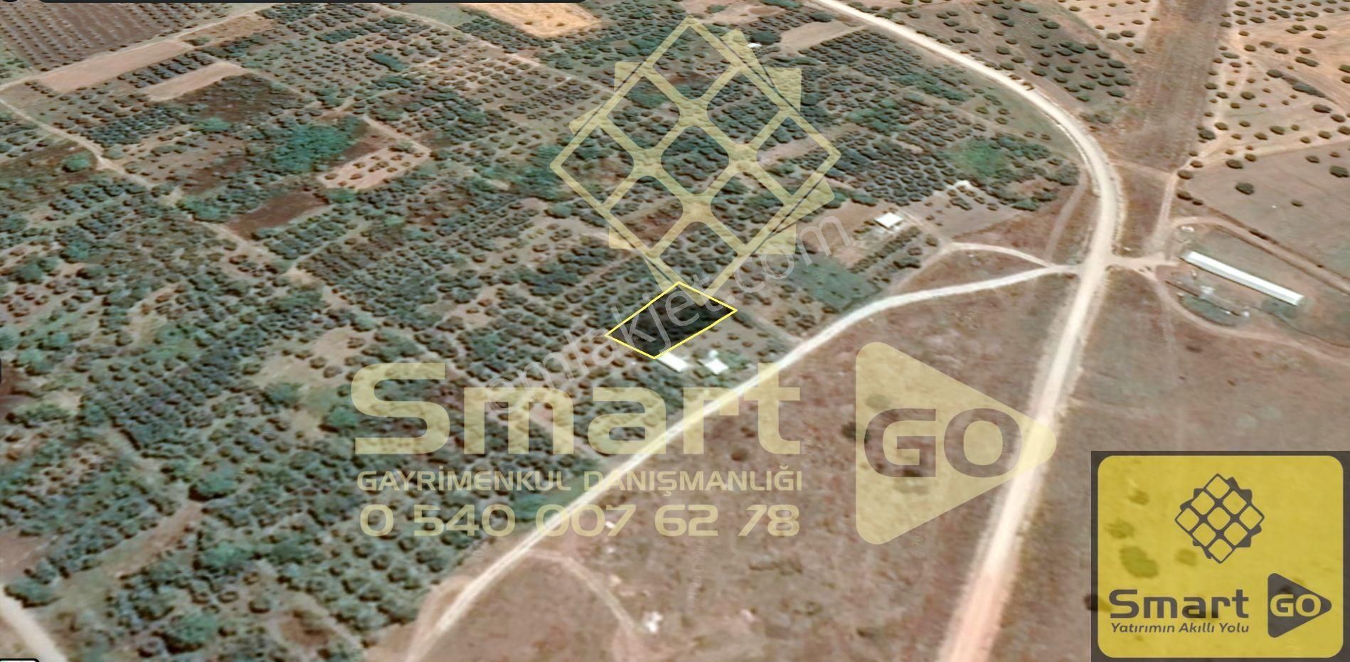 Gönen Paşaçiftlik'de 662 M² Yatırıma Uygun Satılık Bağ - Görsel 4