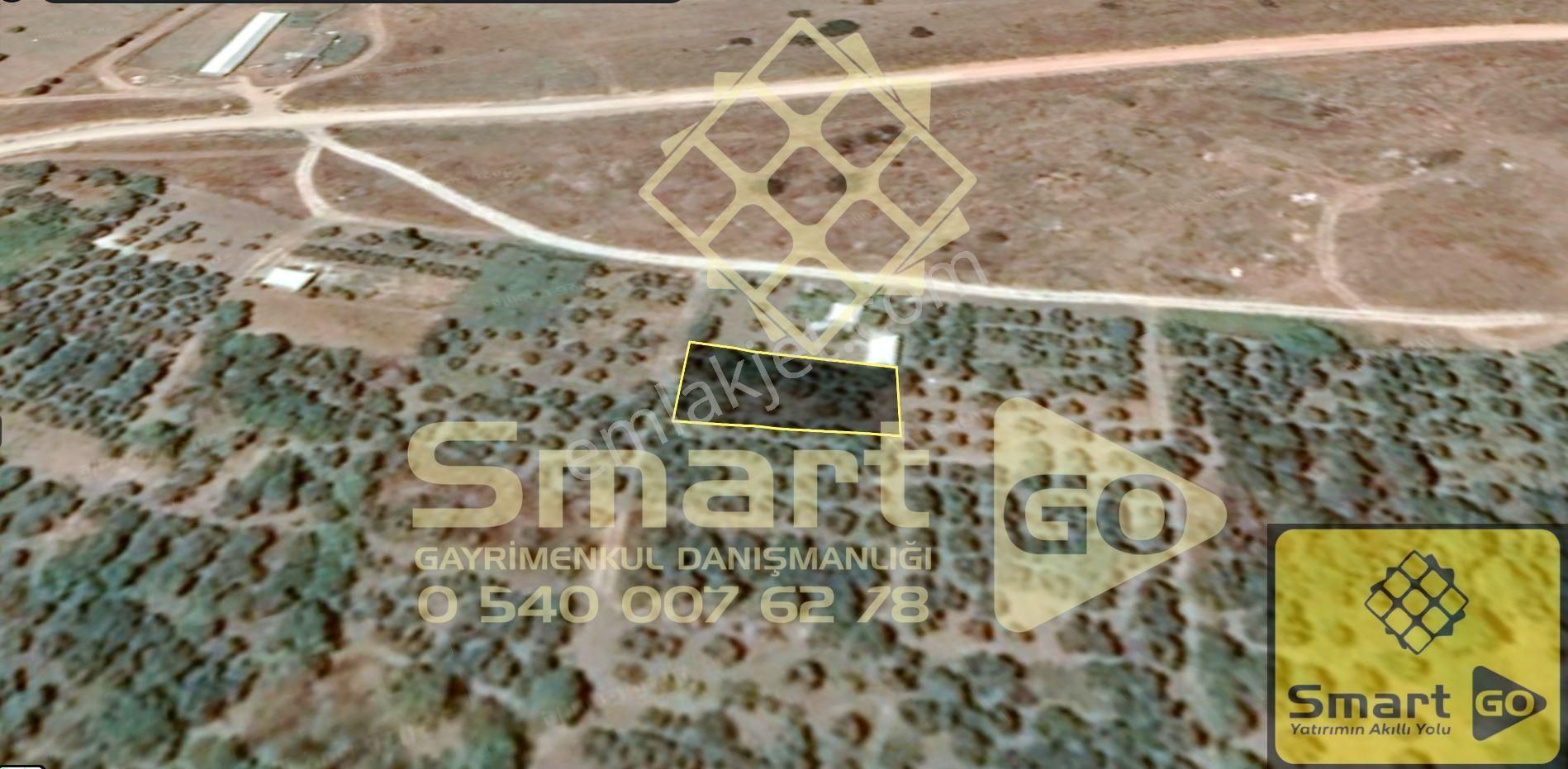 Gönen Paşaçiftlik'de 662 M² Yatırıma Uygun Satılık Bağ - Görsel 24