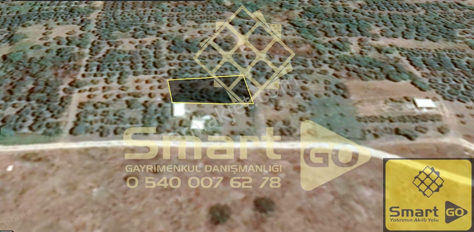 Gönen Paşaçiftlik'de 662 M² Yatırıma Uygun Satılık Bağ - Görsel 2