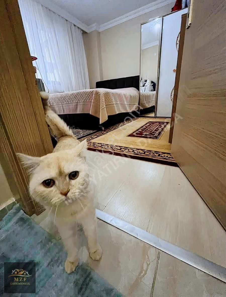 Darıca Fevzi Çakmak Mahallesi Otopark Üstü Yüksek Giriş - Görsel 17