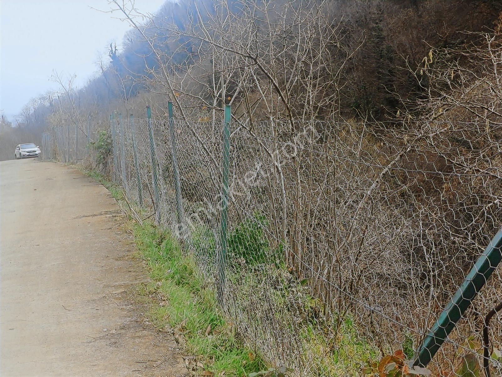 Perşembeye Bir Adım Babalı Mahallesinde 3089 M2 Satılık Bahçe. - Görsel 4