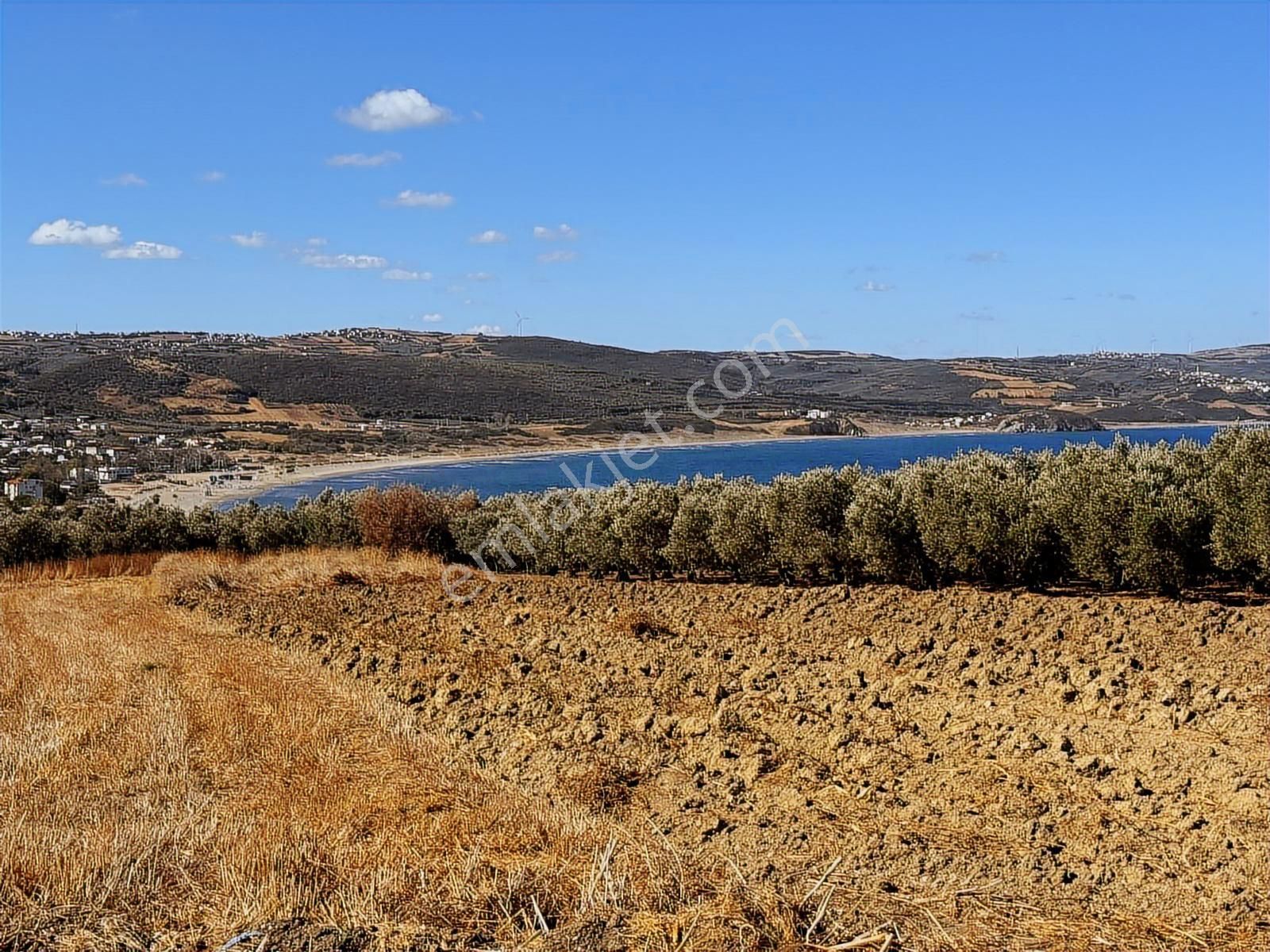 Mudanya Esence Kapital'den 131 M2 Satılık Tarla - Görsel 10