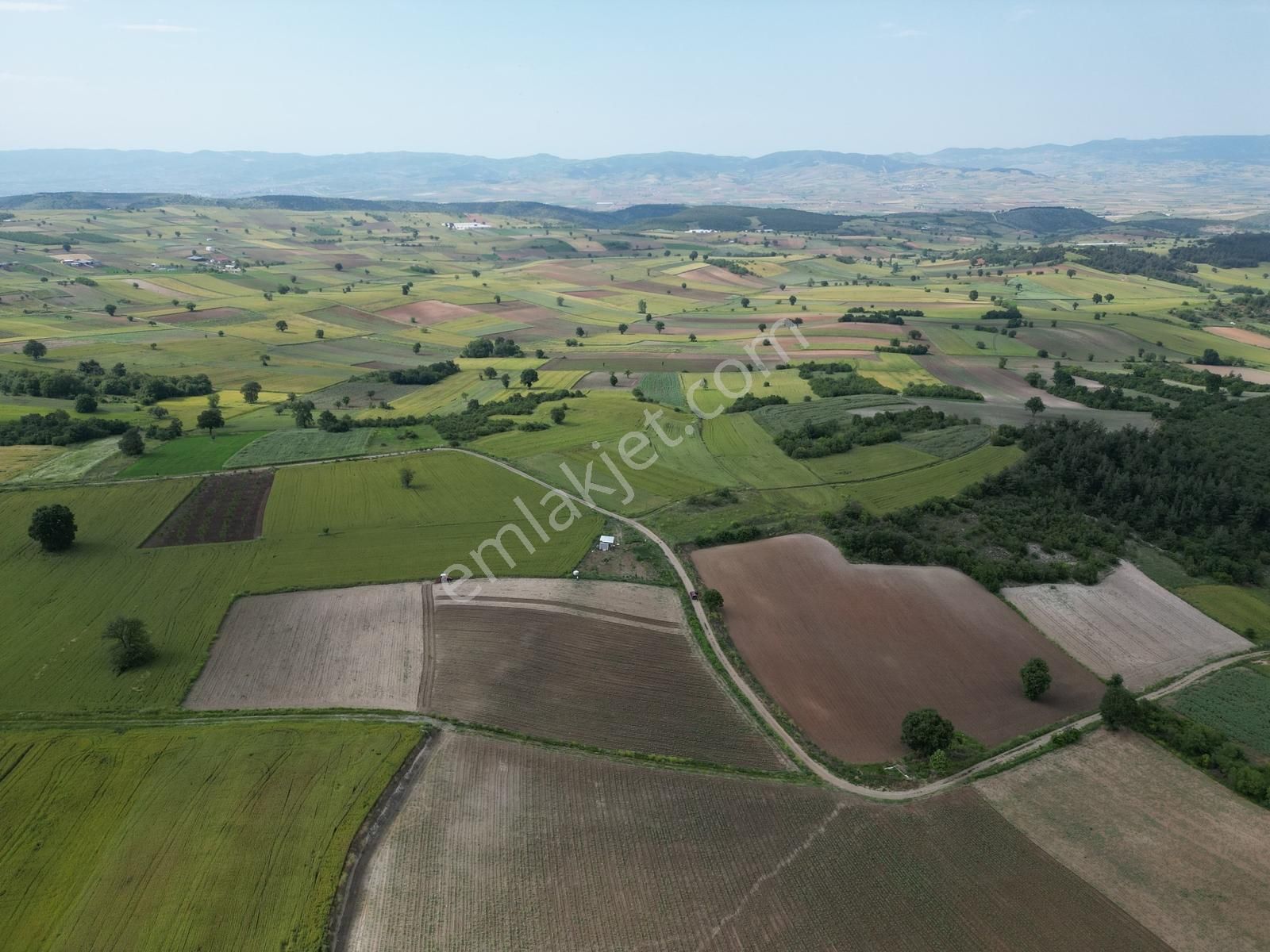 Yenişehir Mahmudiye Sulama Suyu Olan Verimli Tarla - Görsel 2