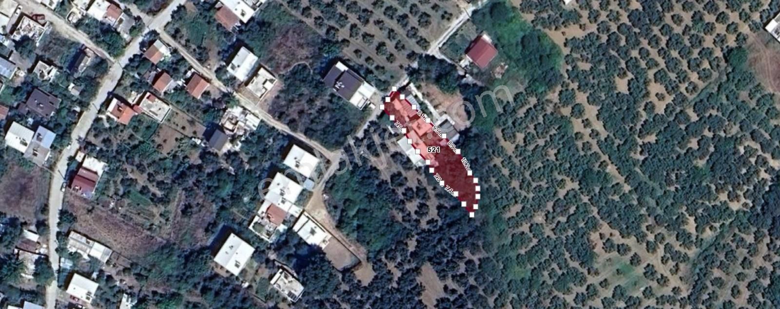 Bursa Mudanya Esencede Kapital'den 650m2 Mustakil Tapu Zeytinlik - Görsel 6
