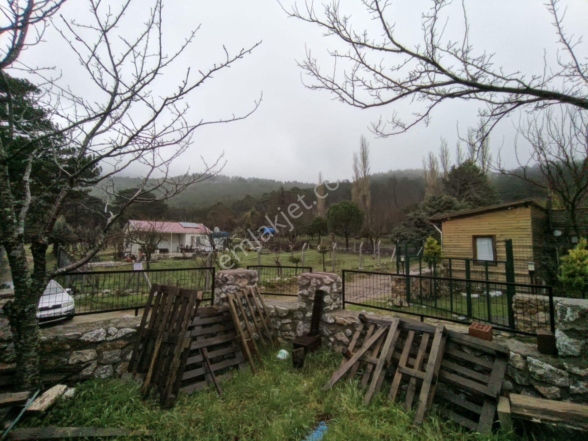 Golden Globy, Havran Hanlar Bölgesinde Harika Doğa Ve Körfez Manzaralı Satılık Bahçeli Müstakil Ev - Görsel 35