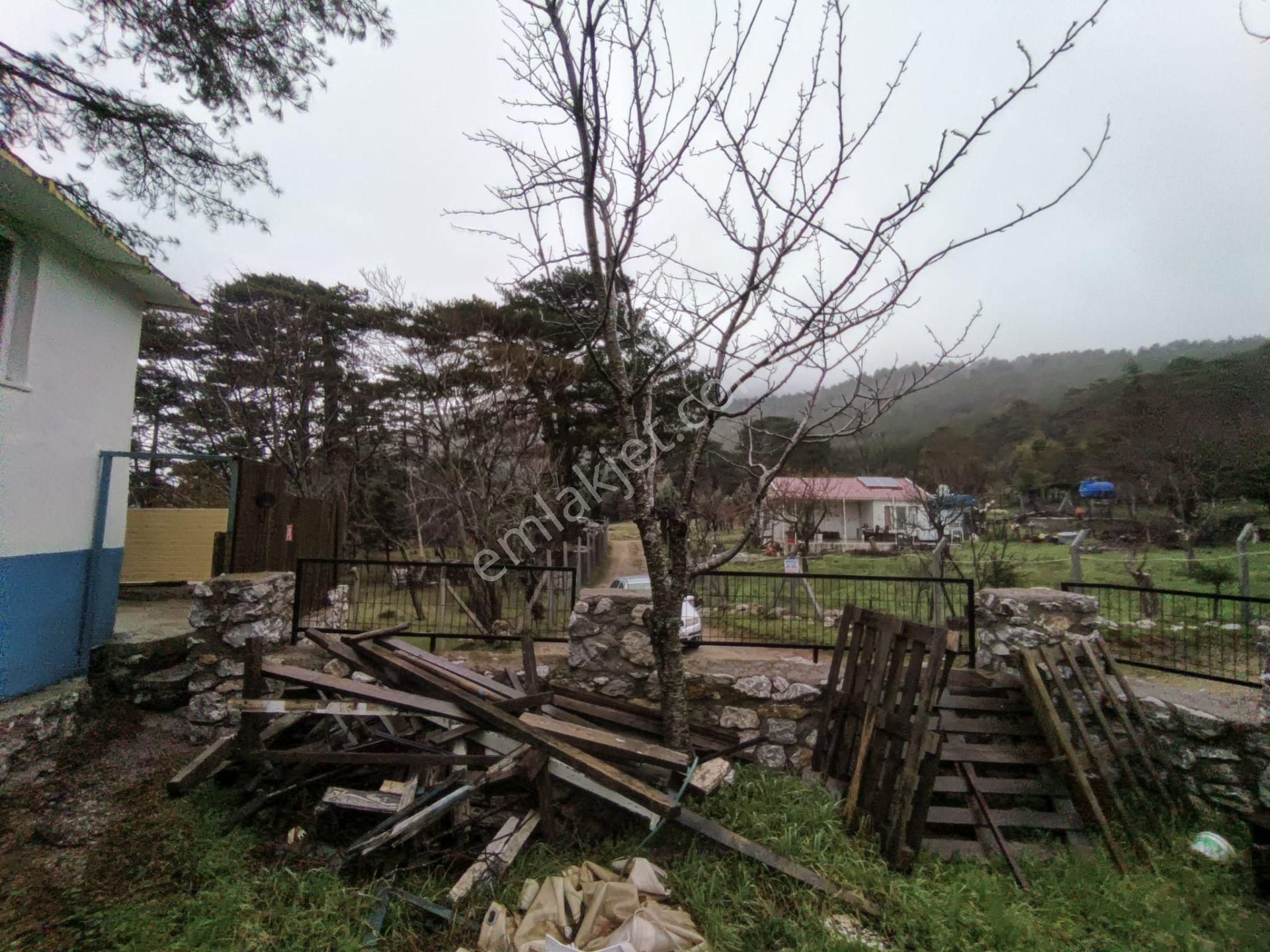 Golden Globy, Havran Hanlar Bölgesinde Harika Doğa Ve Körfez Manzaralı Satılık Bahçeli Müstakil Ev - Görsel 32