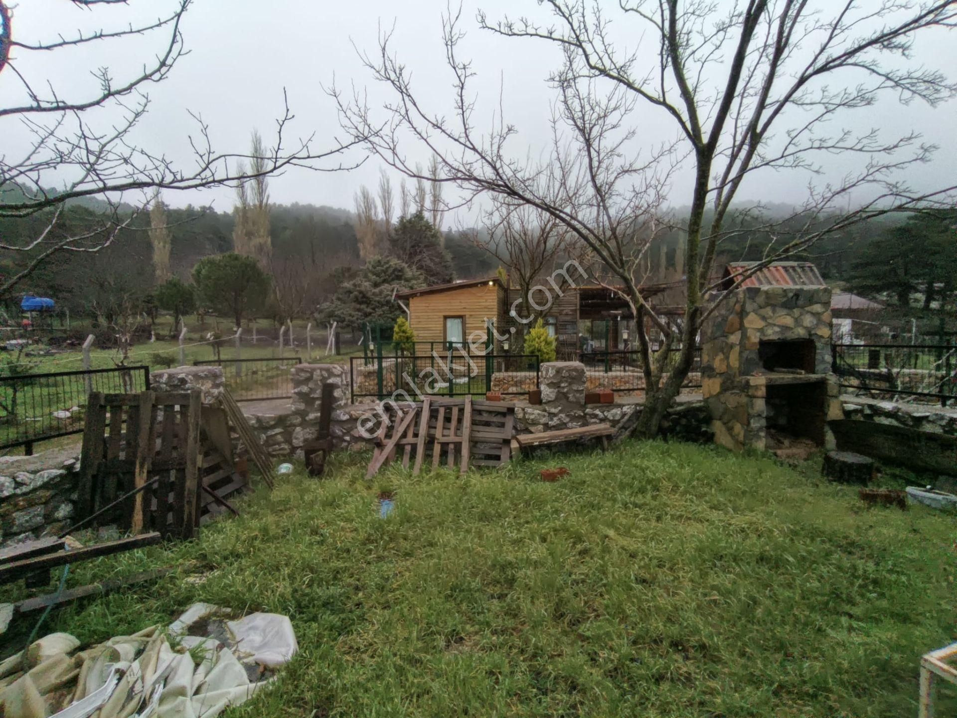 Golden Globy, Havran Hanlar Bölgesinde Harika Doğa Ve Körfez Manzaralı Satılık Bahçeli Müstakil Ev - Görsel 26