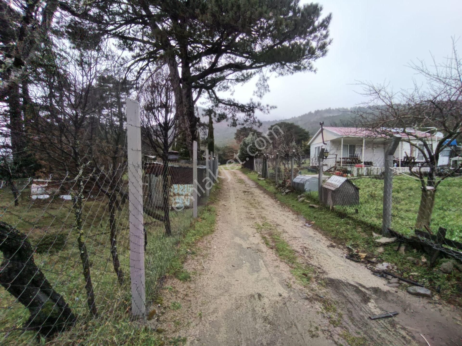 Golden Globy, Havran Hanlar Bölgesinde Harika Doğa Ve Körfez Manzaralı Satılık Bahçeli Müstakil Ev - Görsel 33