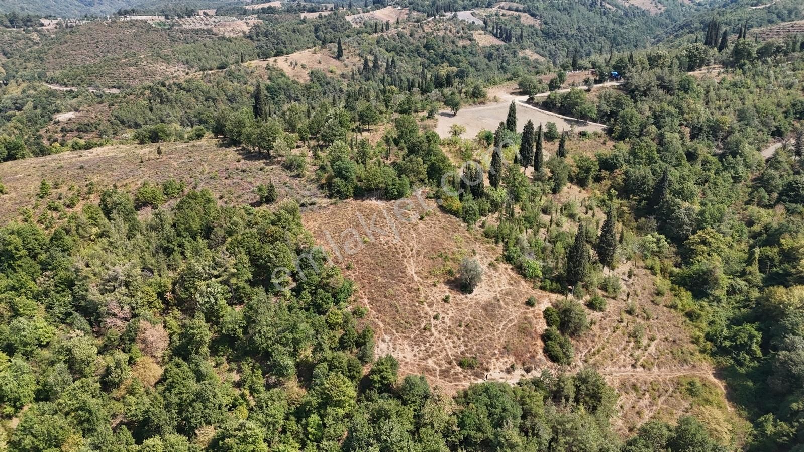 Deniz Gayrimenkul'den Çamdibi'nde Satılık 1206 M2 Arazi - Görsel 2