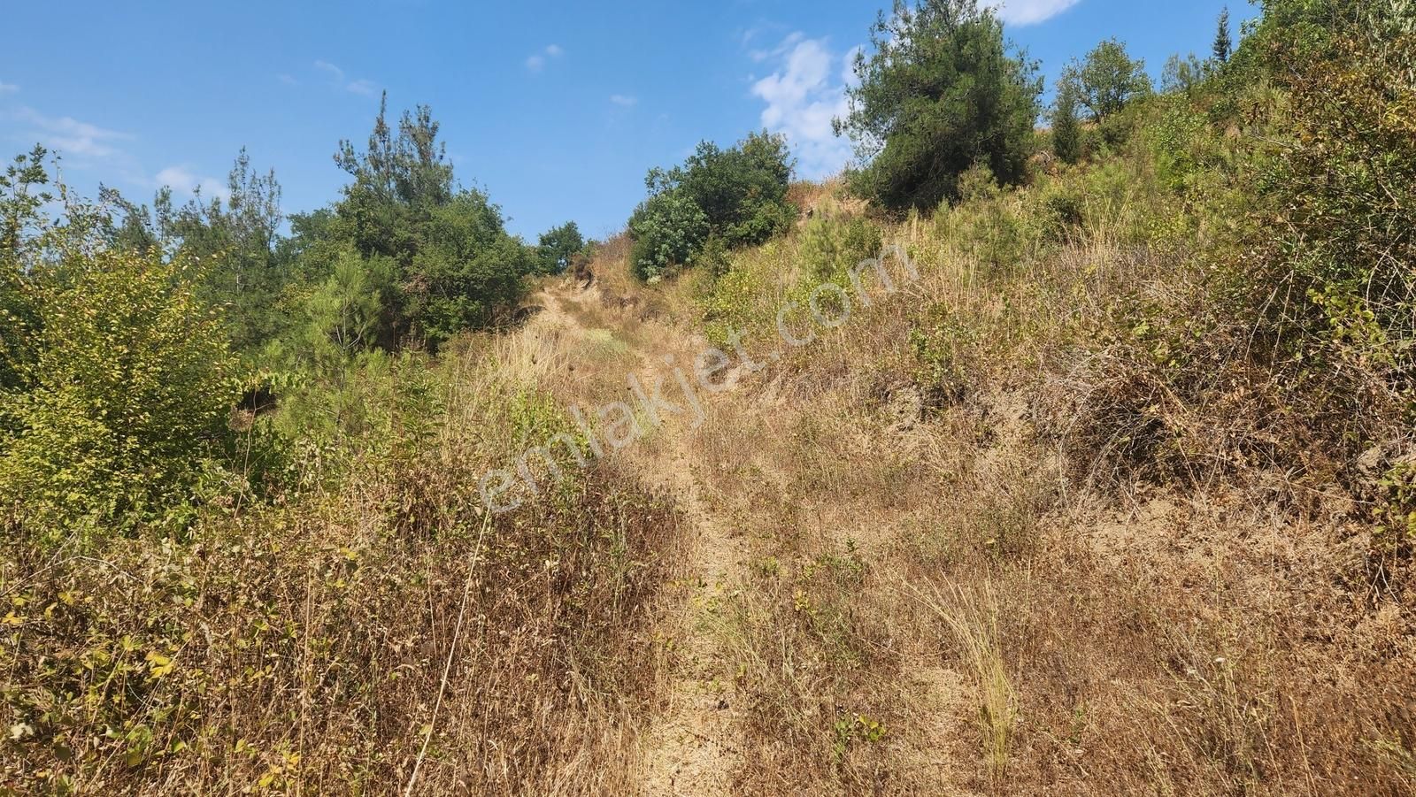 Deniz Gayrimenkul'den Çamdibi'nde Satılık 1206 M2 Arazi - Görsel 9