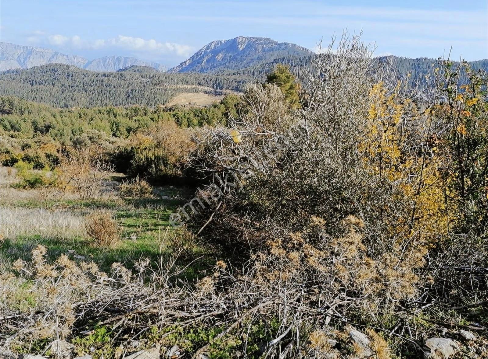 Döşemealtı Ahırtaş'ta 8223 M2 İçinde 2+1 Evi Mevcut Tarla - Görsel 3
