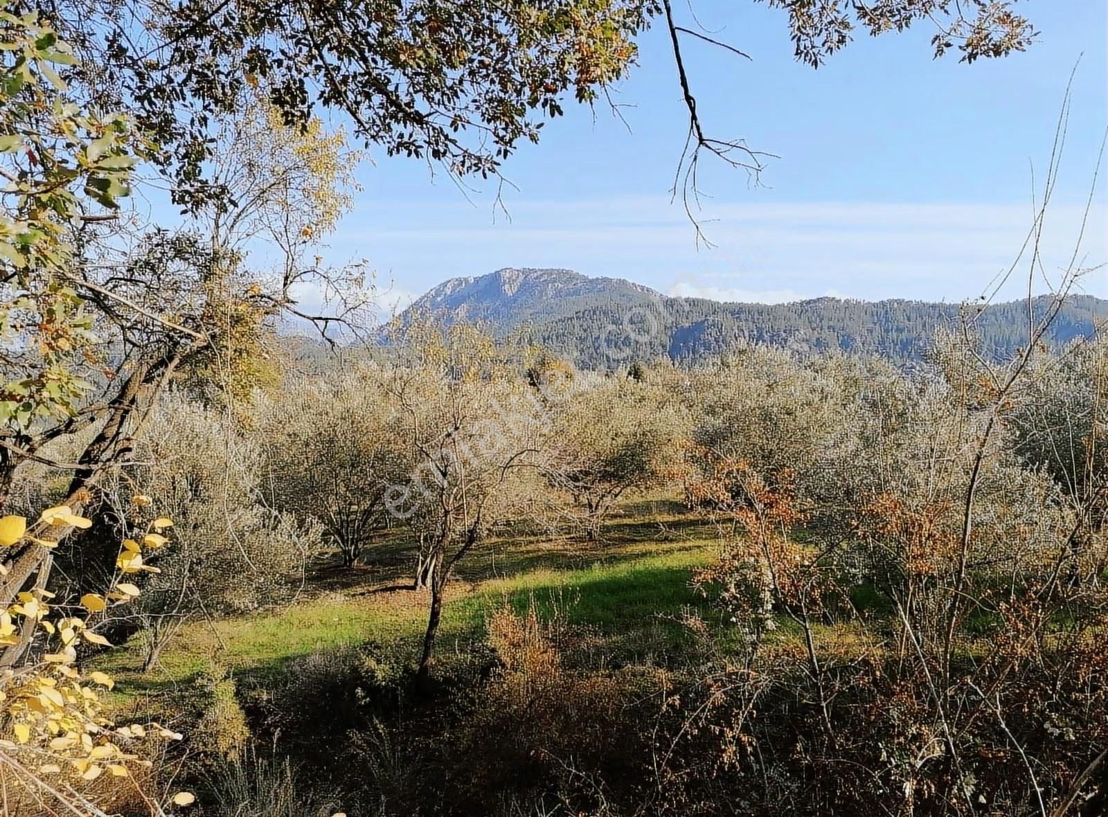 Döşemealtı Ahırtaş'ta 7629 M2 Yola Cephe Tarla - Görsel 7