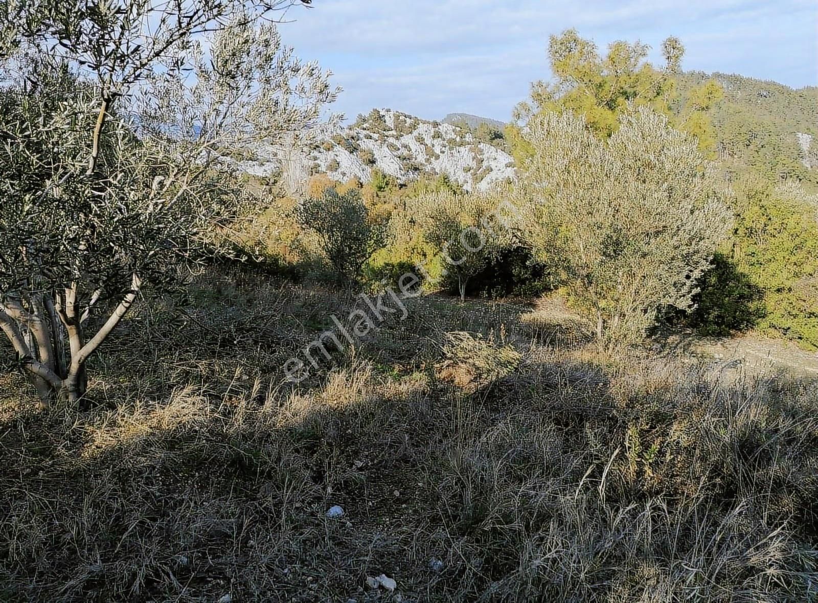 Döşemealtı Ahırtaş'ta 7629 M2 Yola Cephe Tarla