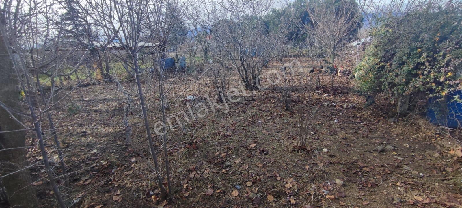 Adalet Gold Group Emlak'tan Merkezi Konumda Yol Üstü Satılık İmarlı Arsa Uygun Fiyata - Görsel 2
