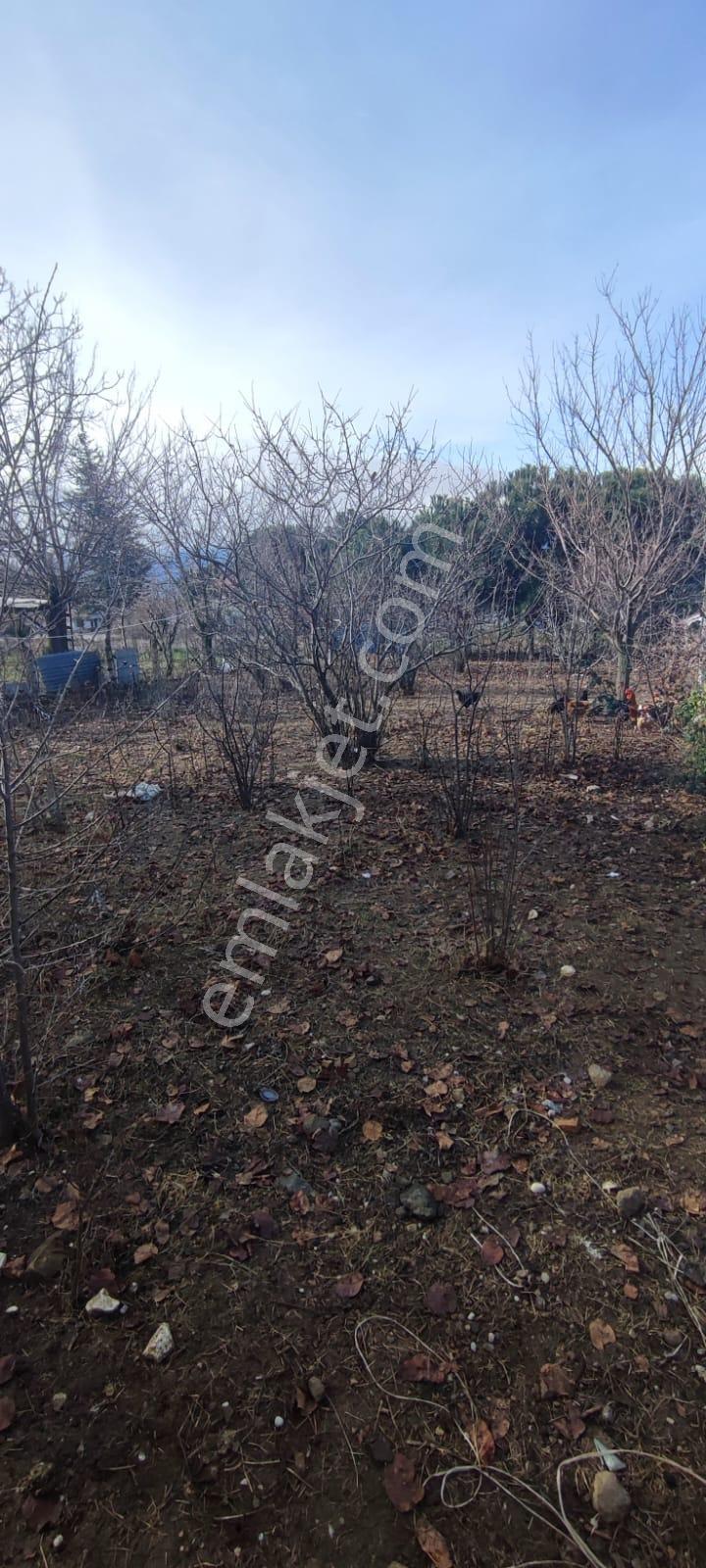 Adalet Gold Group Emlak'tan Merkezi Konumda Yol Üstü Satılık İmarlı Arsa Uygun Fiyata - Görsel 8