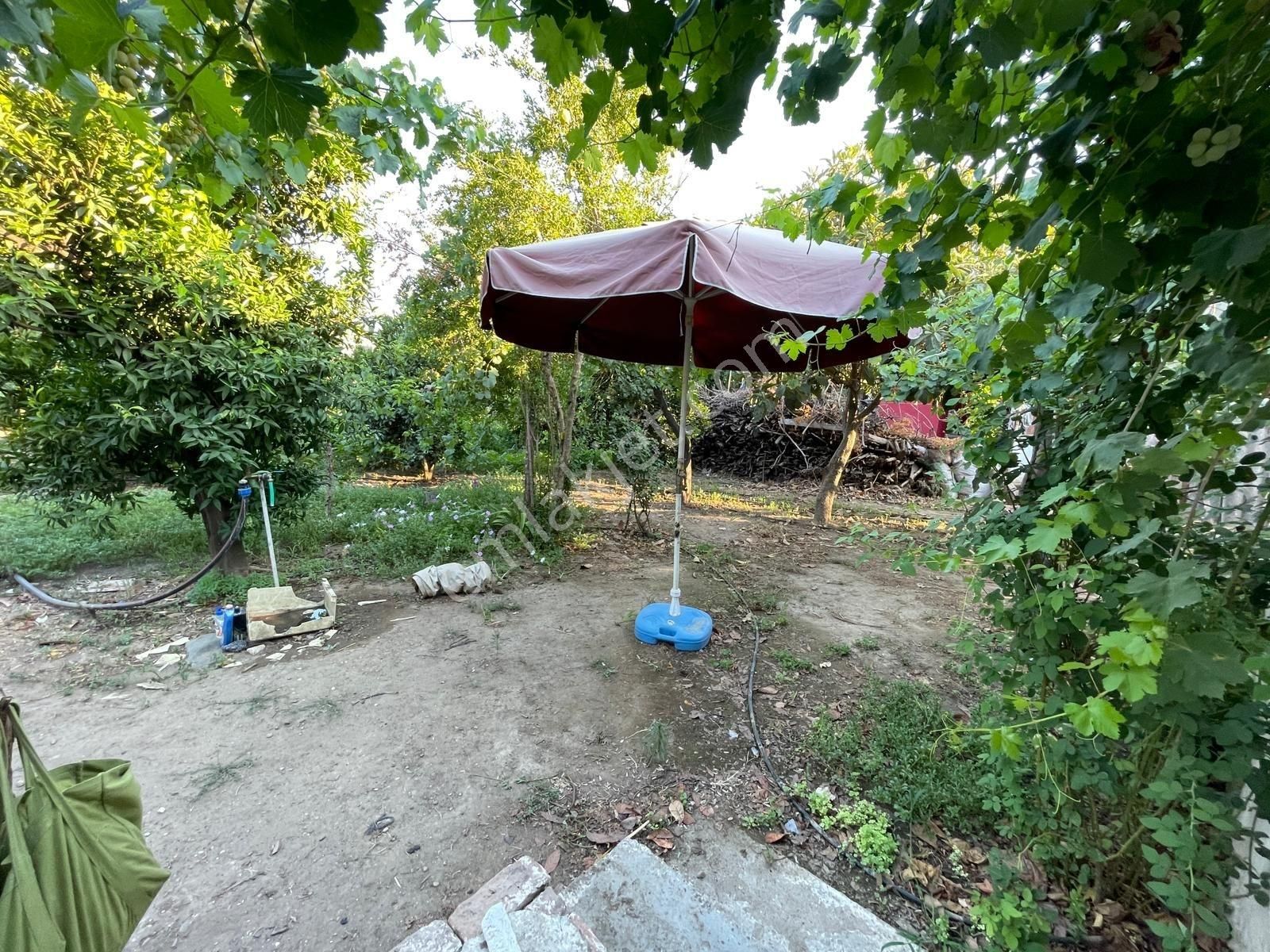 Aydın İncirliova Dereağzı Mah. Satılık 2+1 Müstakil Ev - Görsel 3