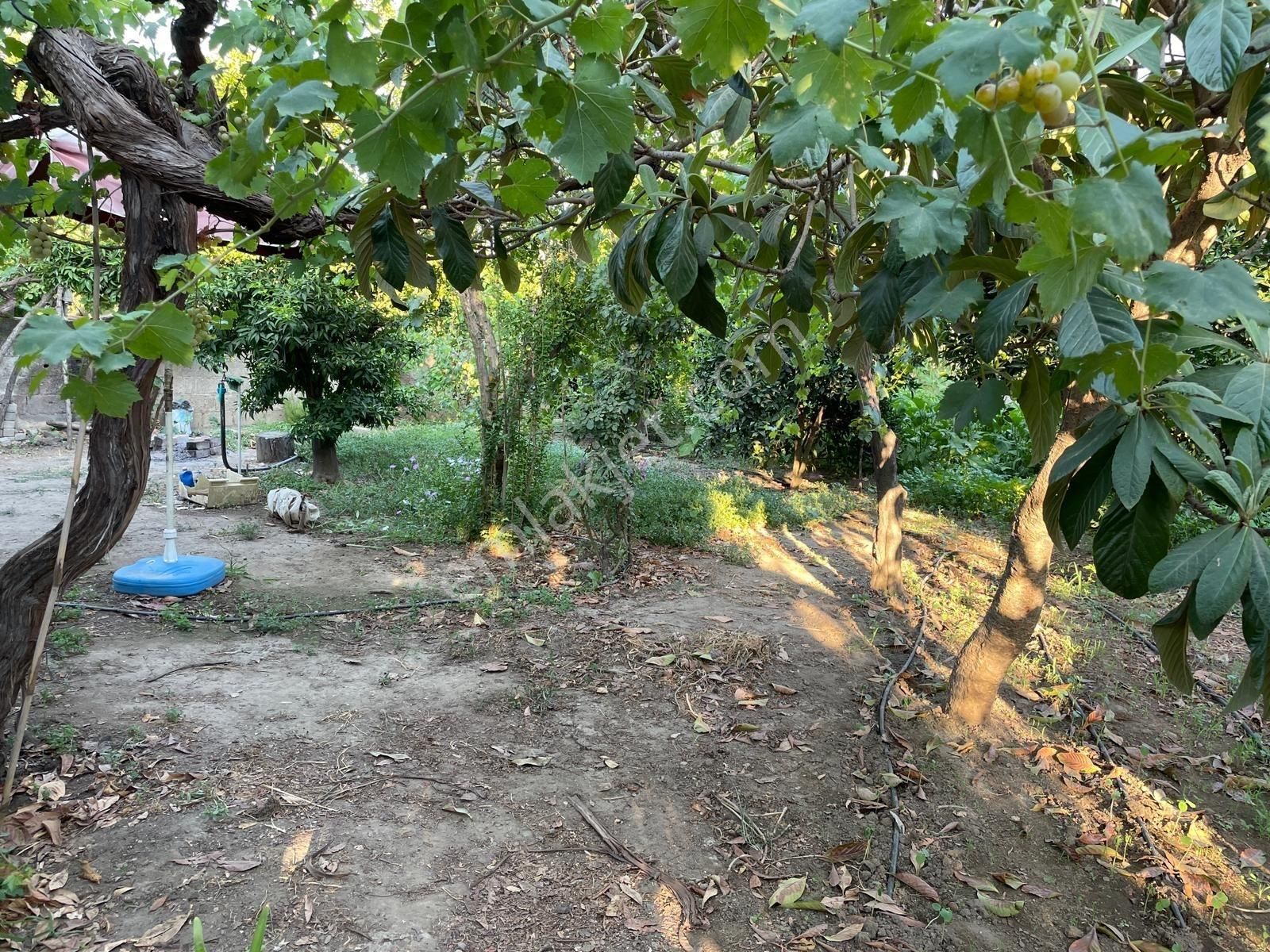 Aydın İncirliova Dereağzı Mah. Satılık 2+1 Müstakil Ev - Görsel 11