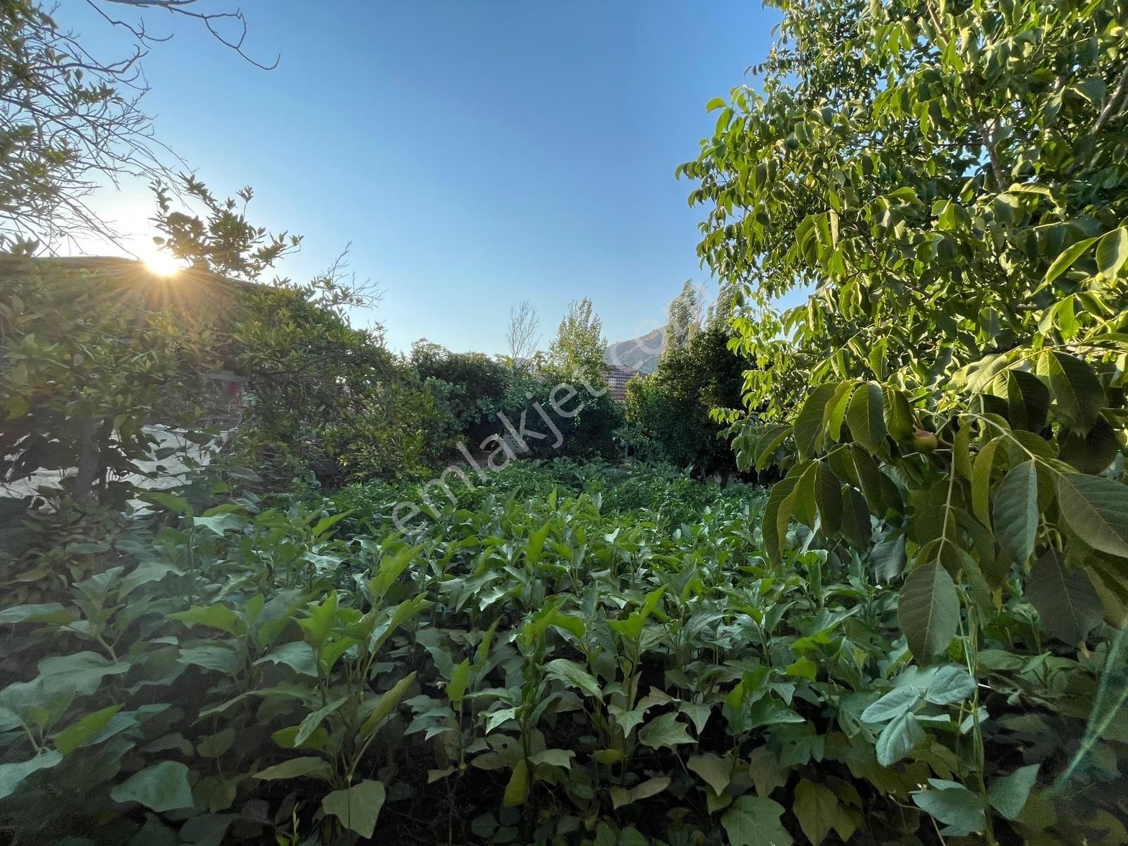 Aydın İncirliova Dereağzı Mah. Satılık 2+1 Müstakil Ev - Görsel 6