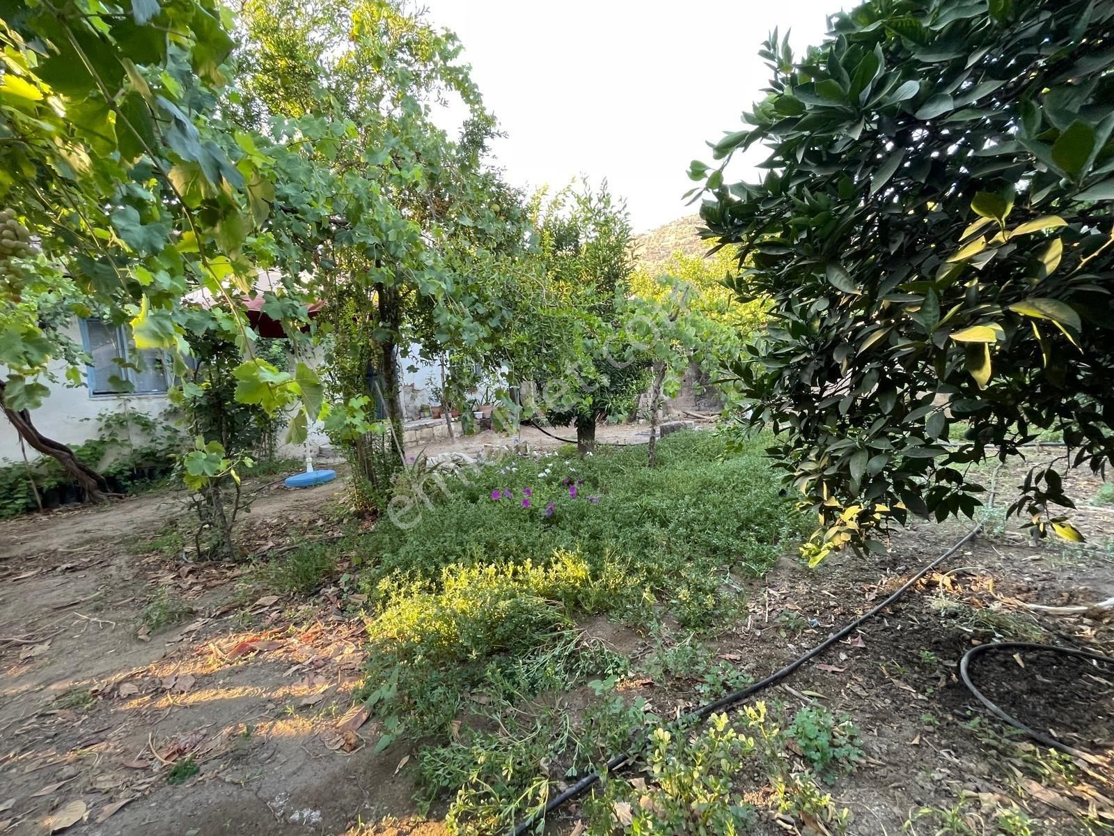 Aydın İncirliova Dereağzı Mah. Satılık 2+1 Müstakil Ev - Görsel 4