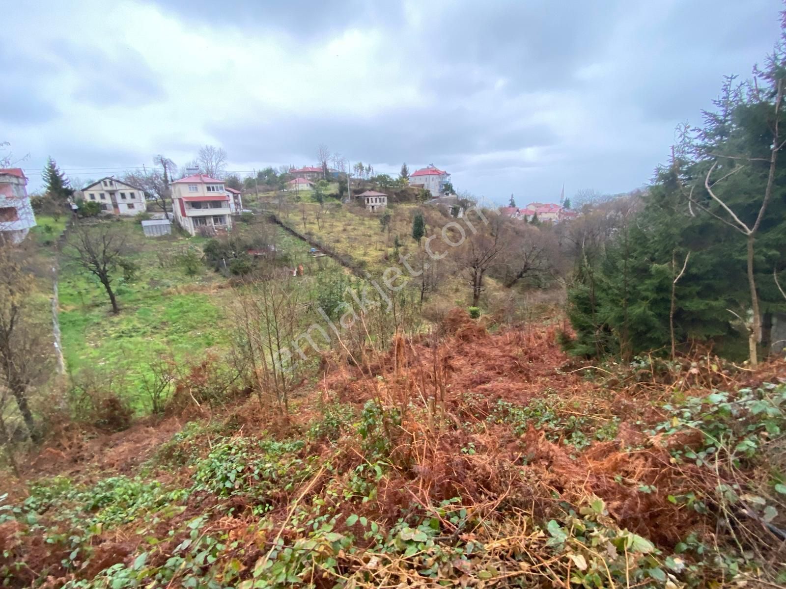Trabzon Beşikdüzünde Satılık Deniz Manzaralı Villalık Arazi - Görsel 3