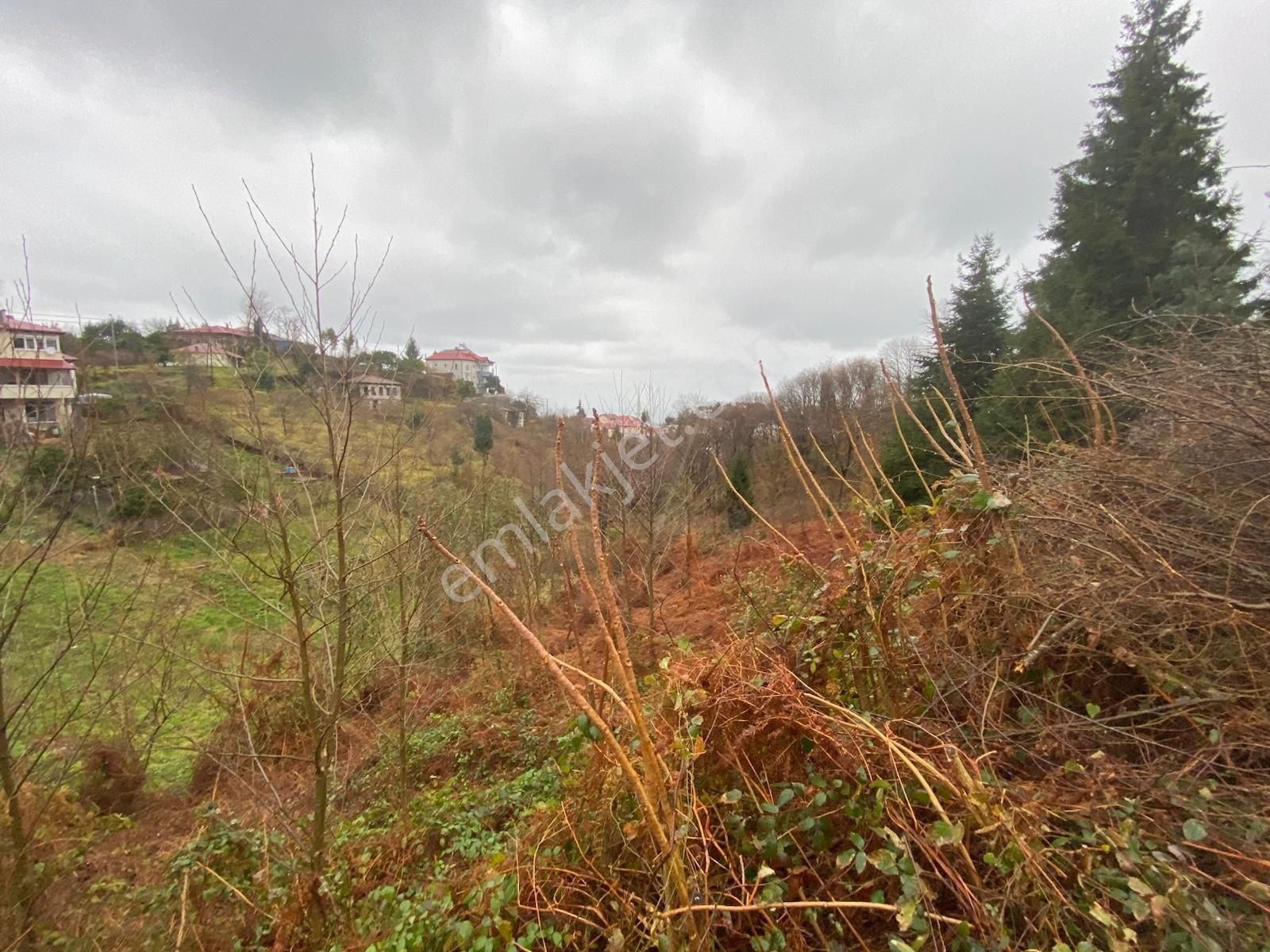 Trabzon Beşikdüzünde Satılık Deniz Manzaralı Villalık Arazi - Görsel 4
