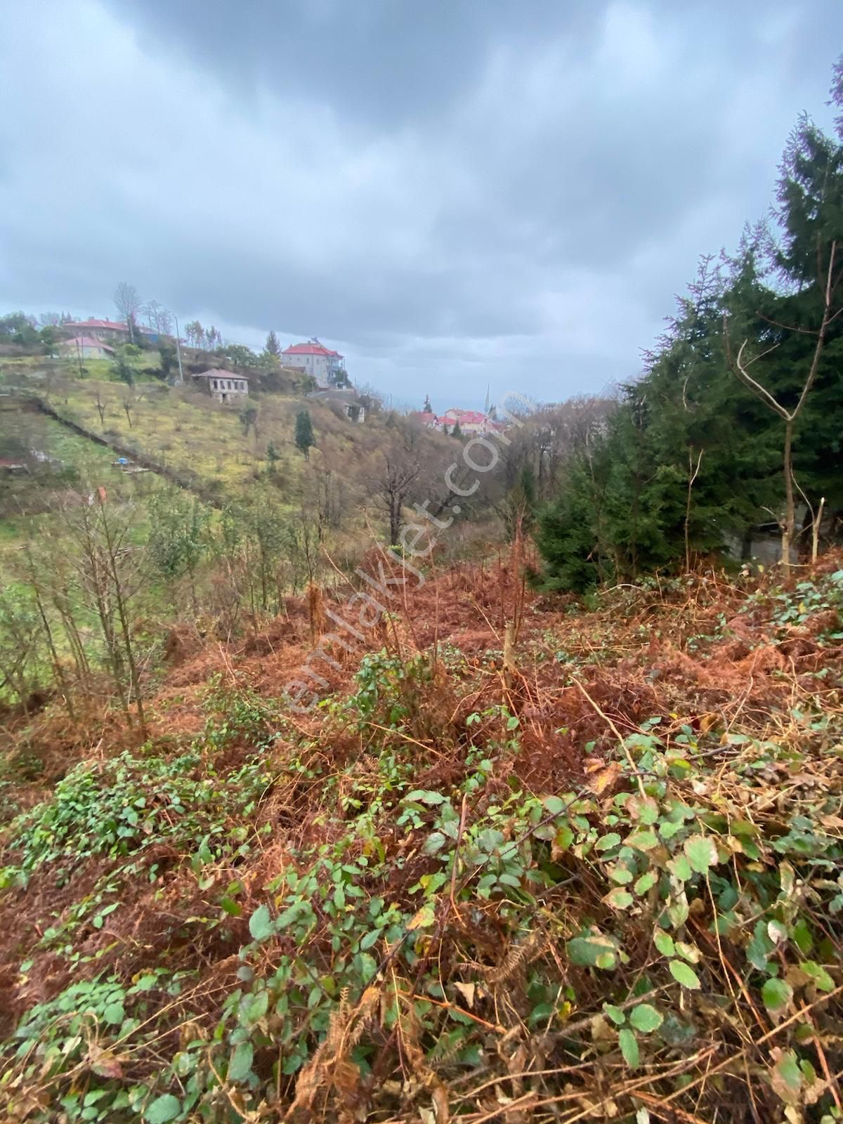 Trabzon Beşikdüzünde Satılık Deniz Manzaralı Villalık Arazi - Görsel 13