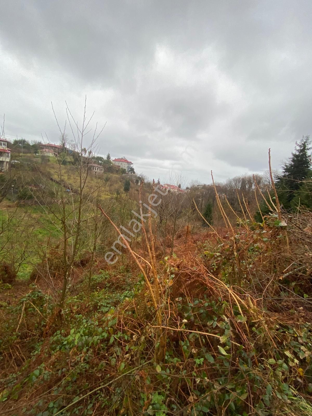 Trabzon Beşikdüzünde Satılık Deniz Manzaralı Villalık Arazi - Görsel 6
