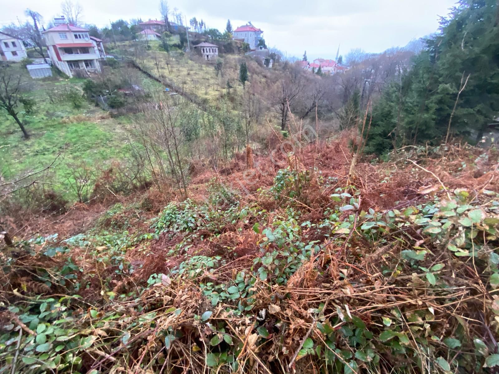 Trabzon Beşikdüzünde Satılık Deniz Manzaralı Villalık Arazi - Görsel 15