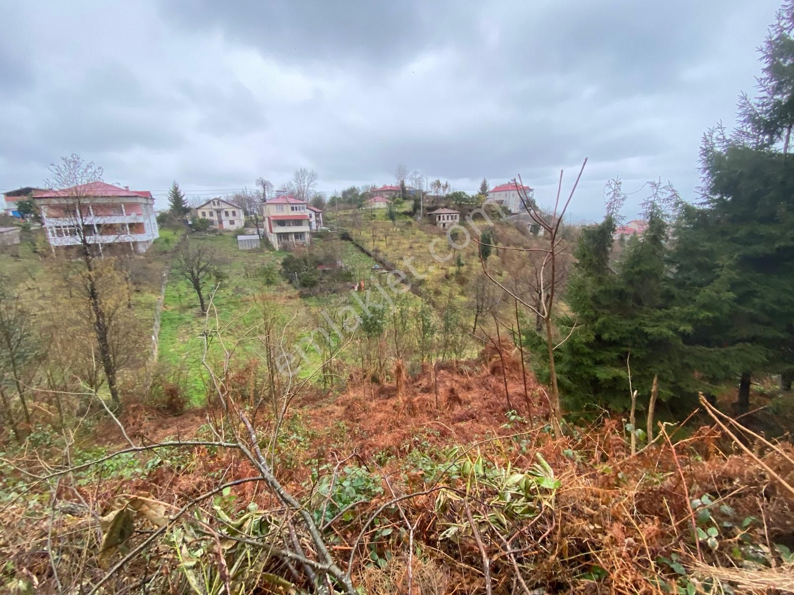 Trabzon Beşikdüzünde Satılık Deniz Manzaralı Villalık Arazi - Görsel 2