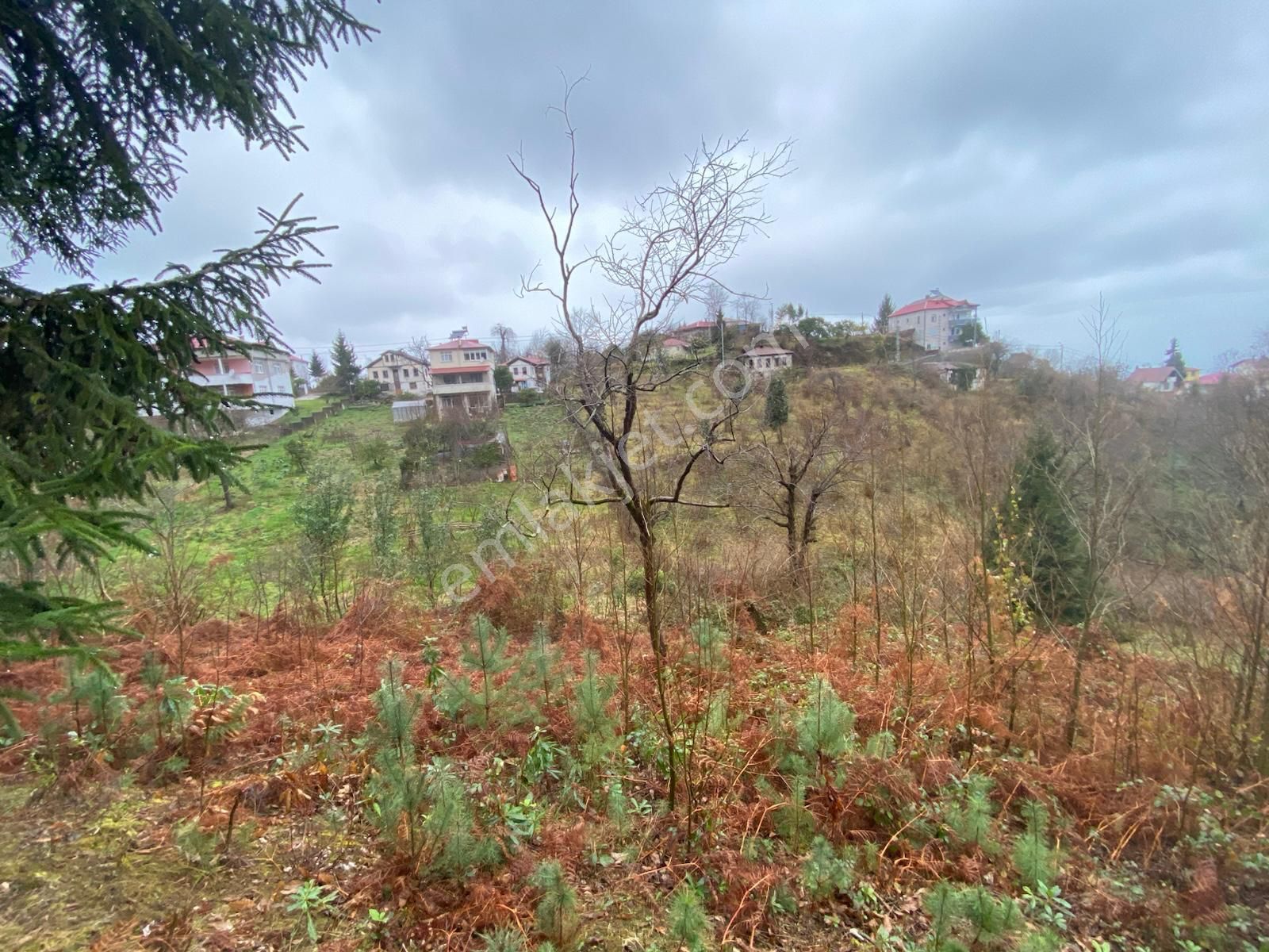 Trabzon Beşikdüzünde Satılık Deniz Manzaralı Villalık Arazi