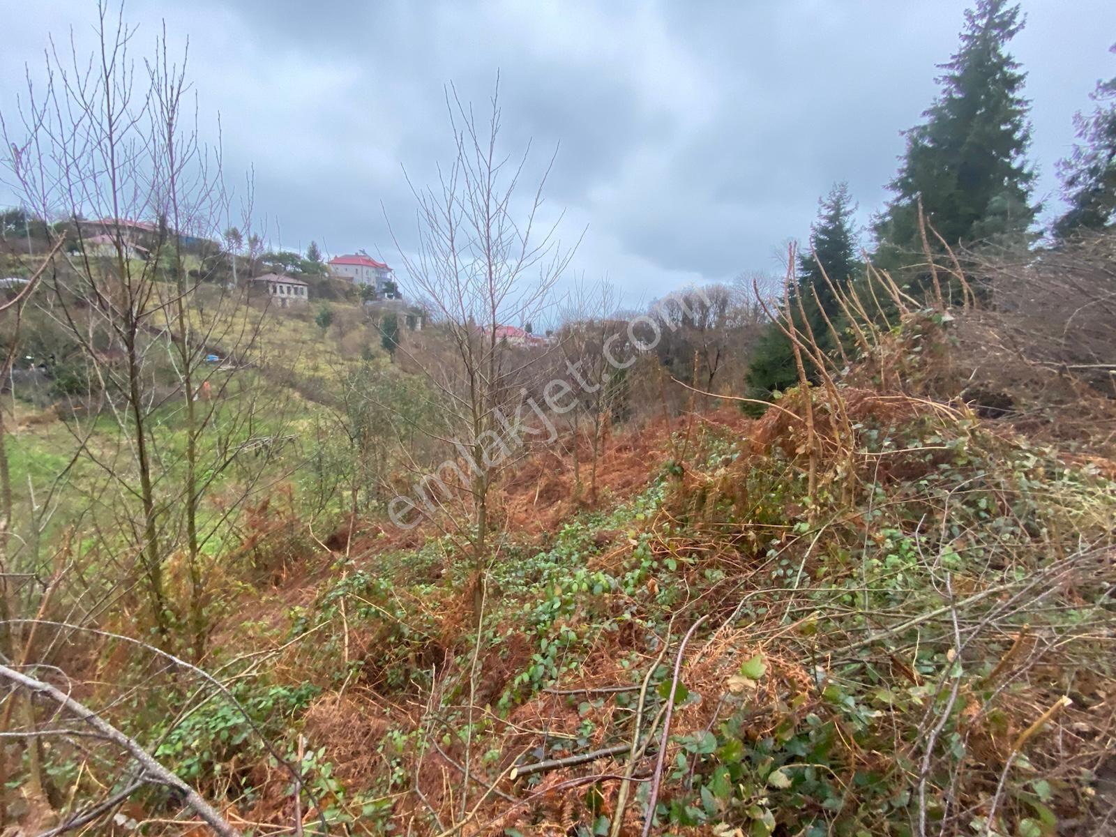 Trabzon Beşikdüzünde Satılık Deniz Manzaralı Villalık Arazi - Görsel 11