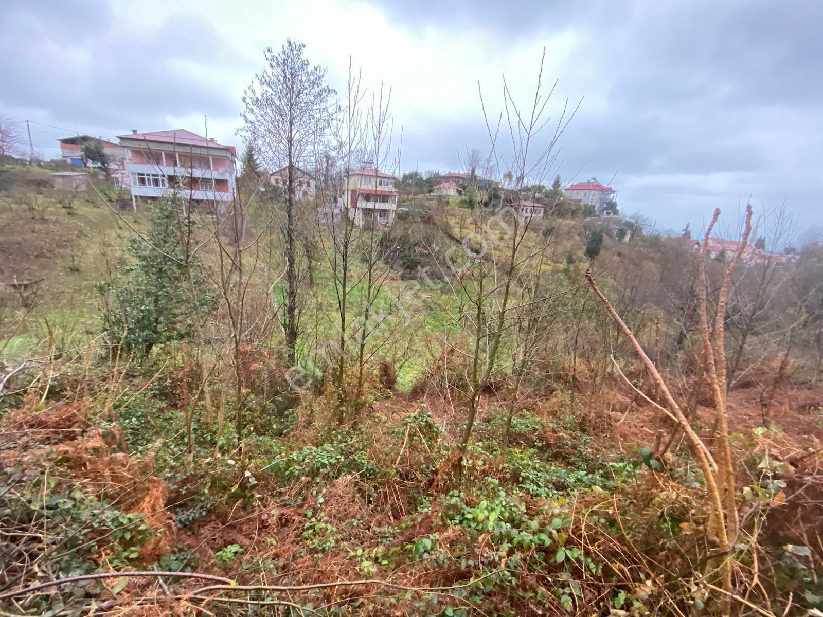 Trabzon Beşikdüzünde Satılık Deniz Manzaralı Villalık Arazi - Görsel 16