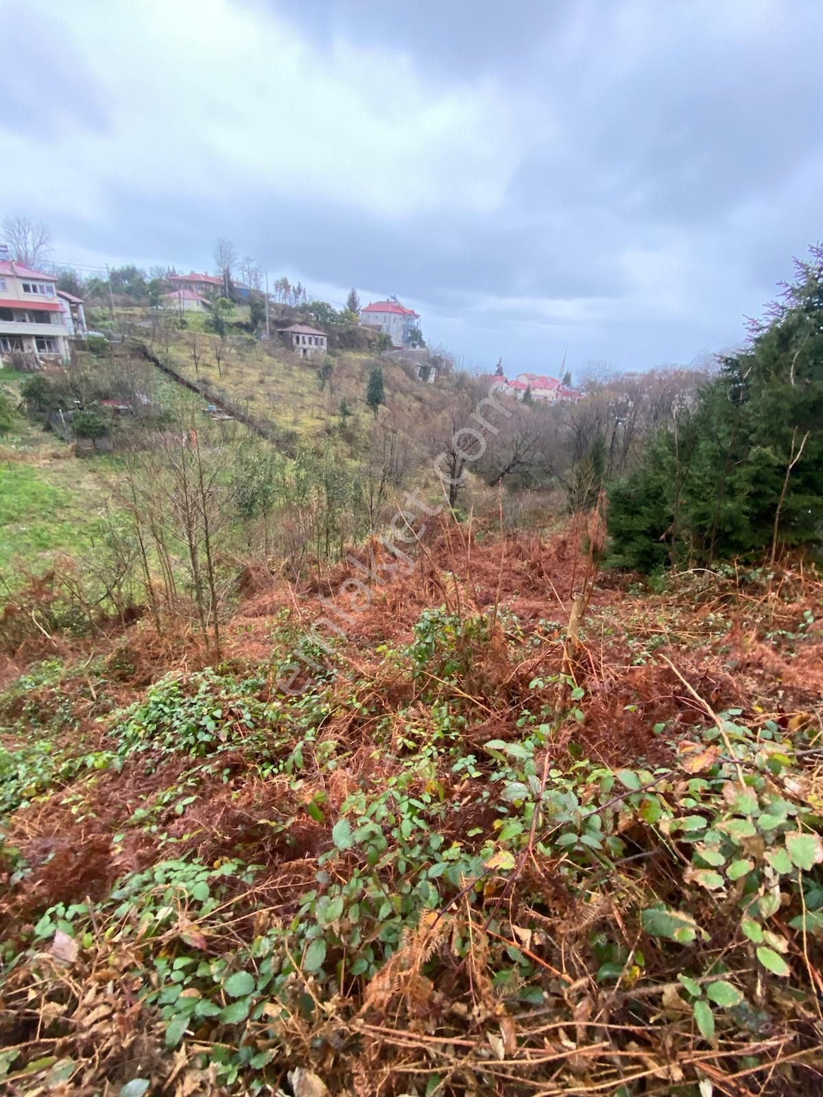 Trabzon Beşikdüzünde Satılık Deniz Manzaralı Villalık Arazi - Görsel 12
