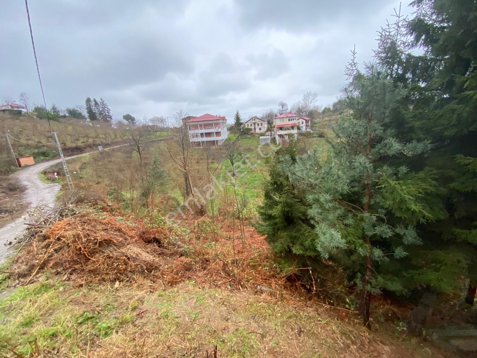 Trabzon Beşikdüzünde Satılık Deniz Manzaralı Villalık Arazi - Görsel 5