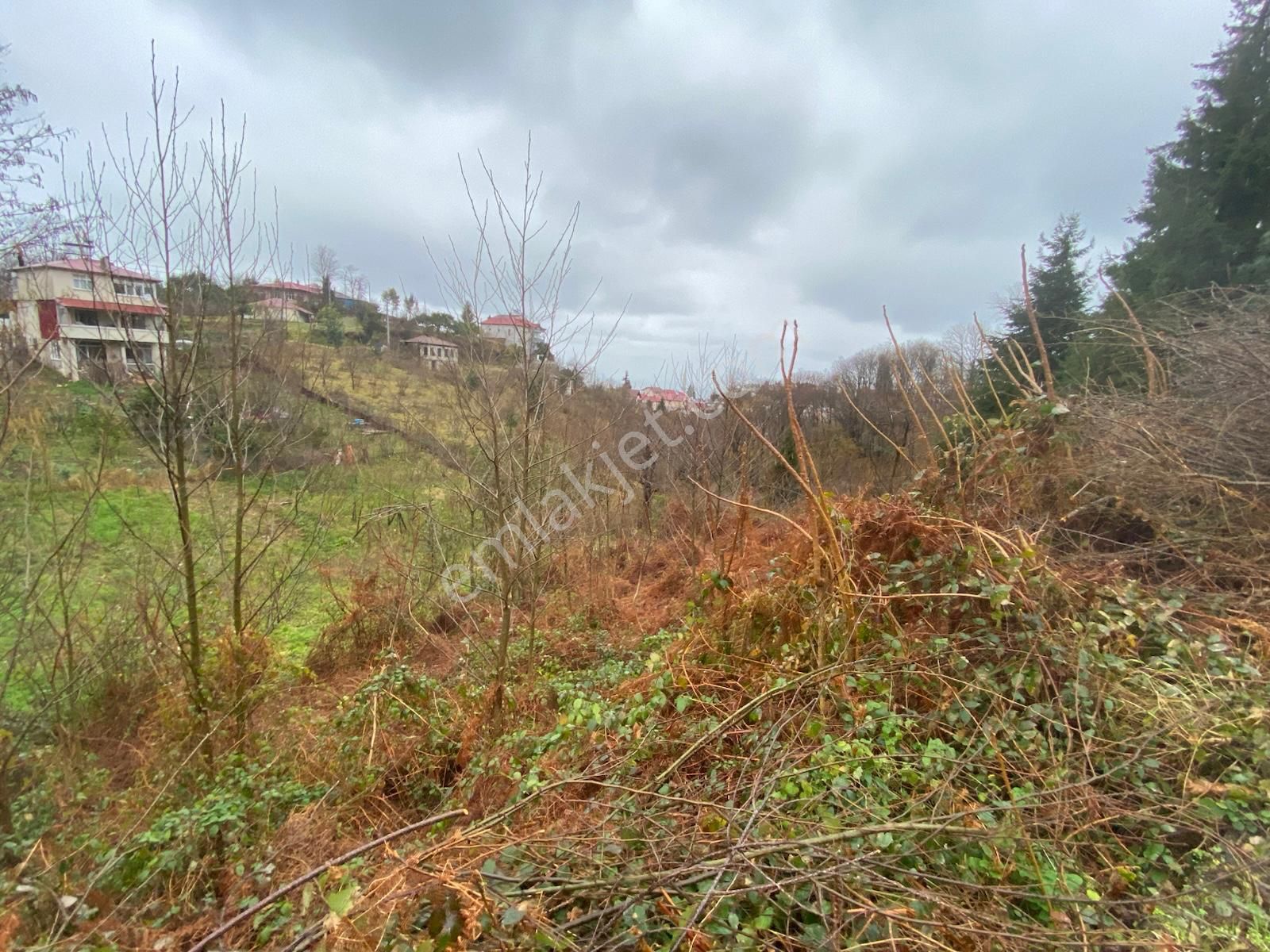 Trabzon Beşikdüzünde Satılık Deniz Manzaralı Villalık Arazi - Görsel 8