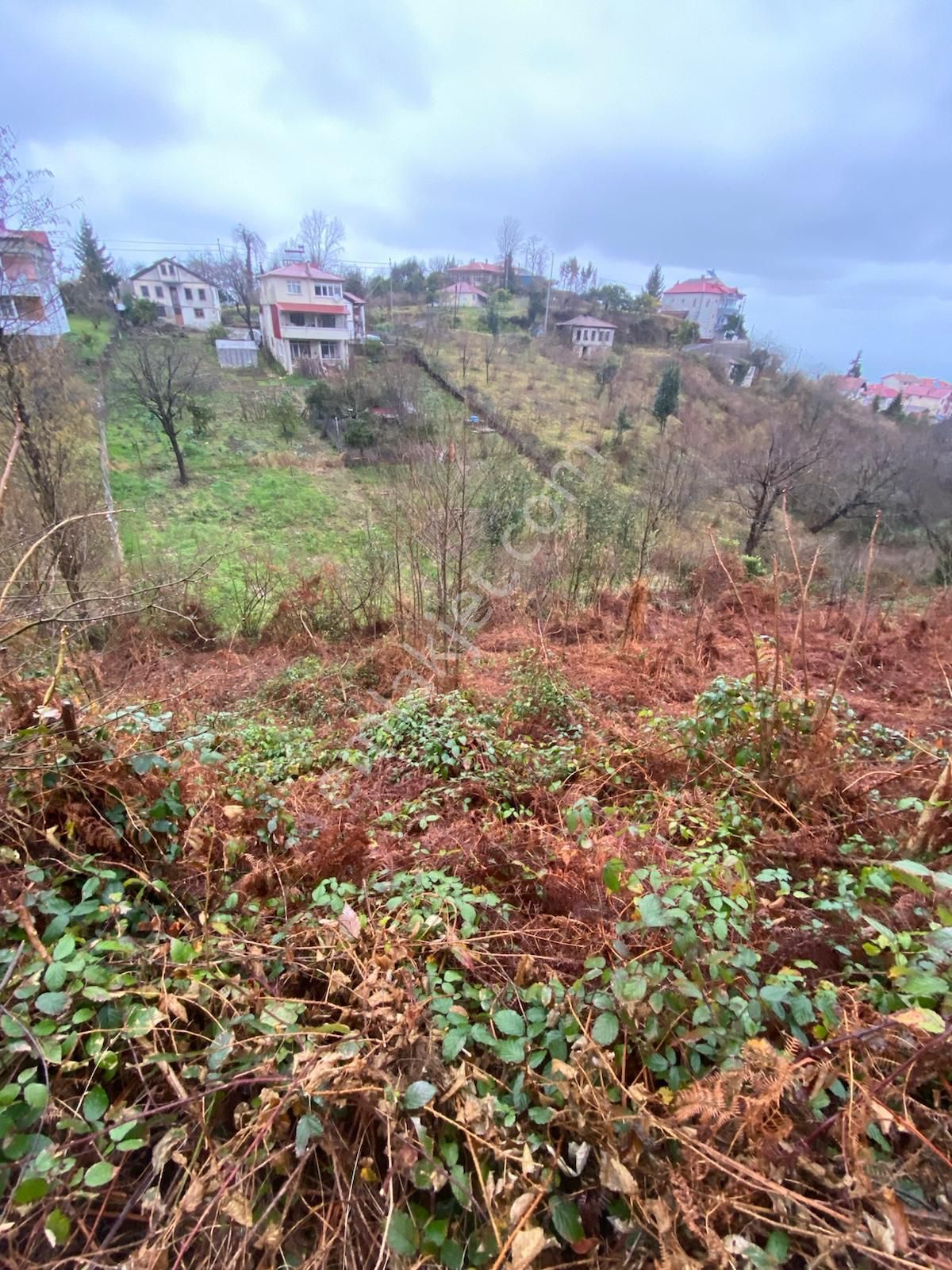 Trabzon Beşikdüzünde Satılık Deniz Manzaralı Villalık Arazi - Görsel 14