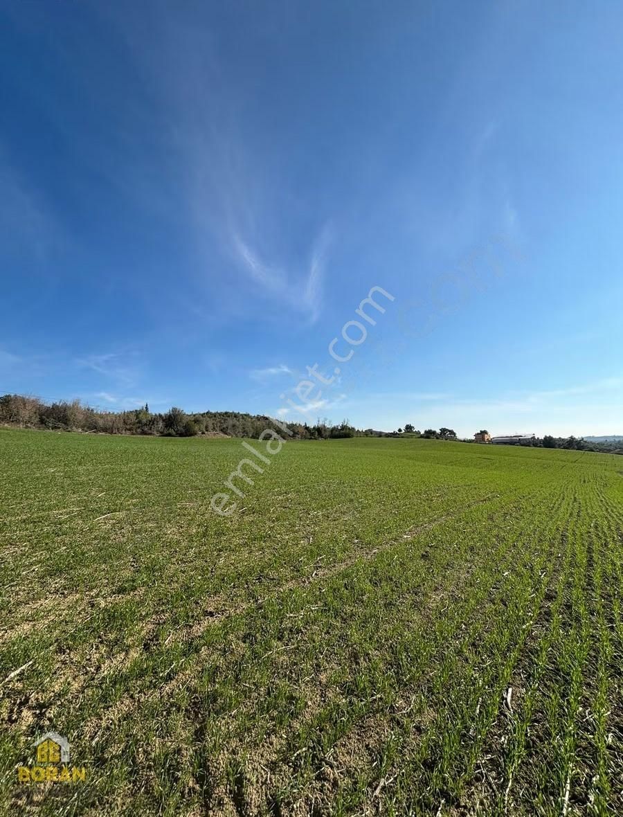 Boran Gayrimenkul'den Karaisalı 1 Km Uzaklıkta Satılık Tarla - Görsel 4