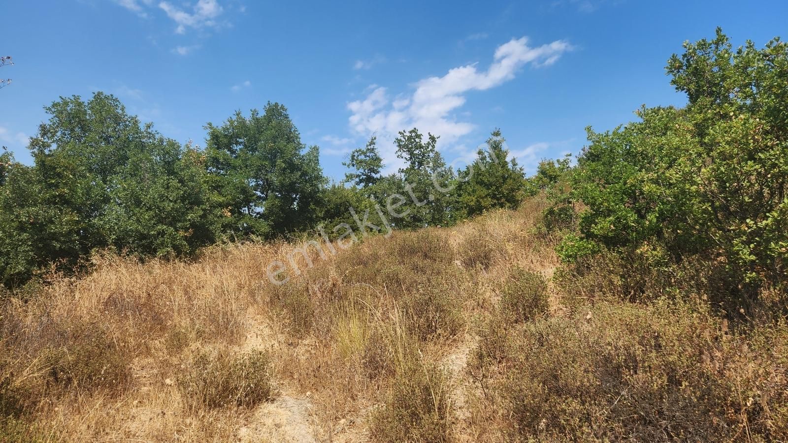 Deniz Gayrimenkul'den Çamdibi'nde Satılık 2096 M2 Arazi - Görsel 12