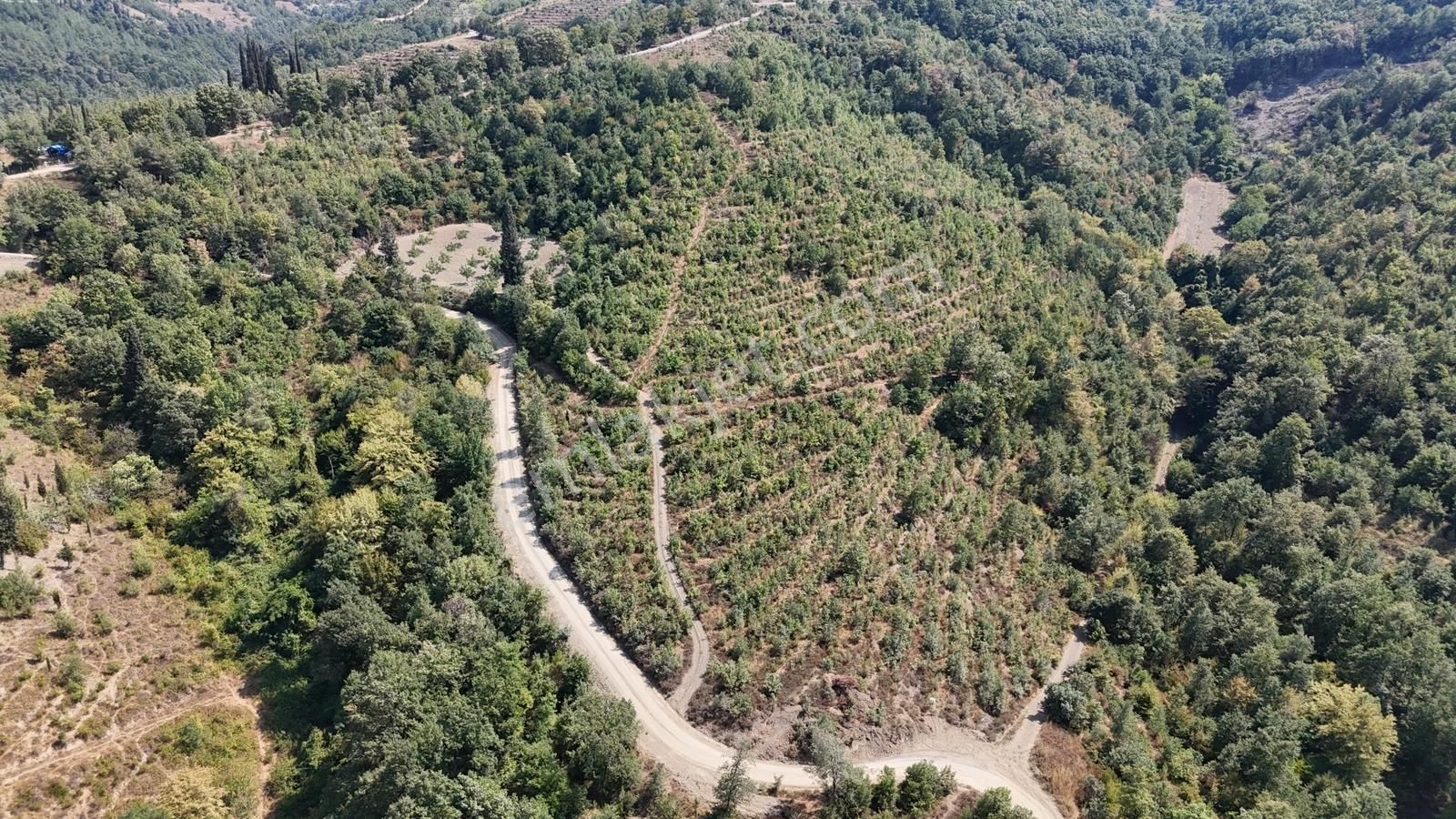 Deniz Gayrimenkul'den Çamdibi'nde Satılık 2096 M2 Arazi - Görsel 6