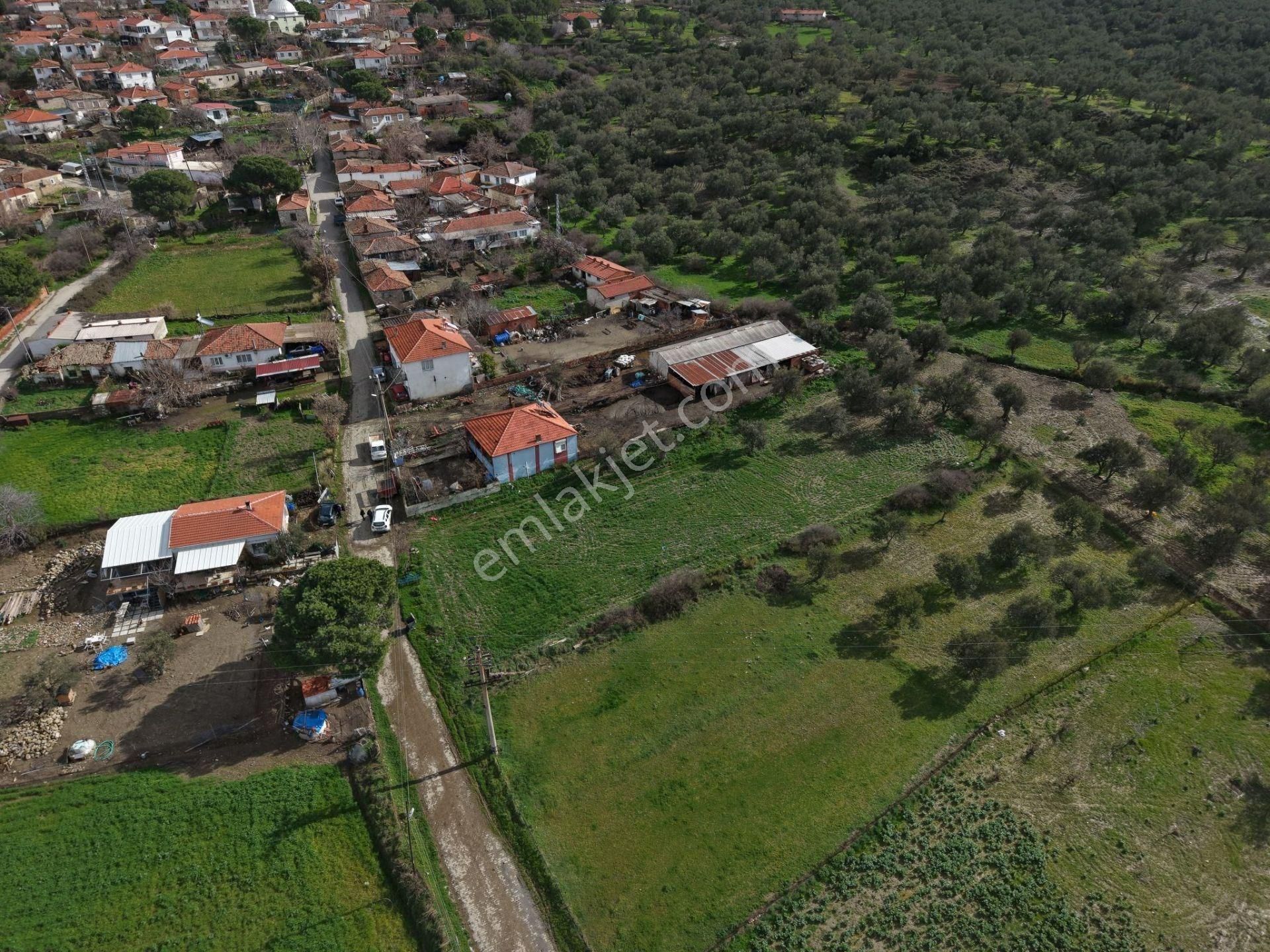 Ayvalık Ilıca Türközünde 1.915 M² Altı Ağaçlı Yatırımlık Arsa - Görsel 3