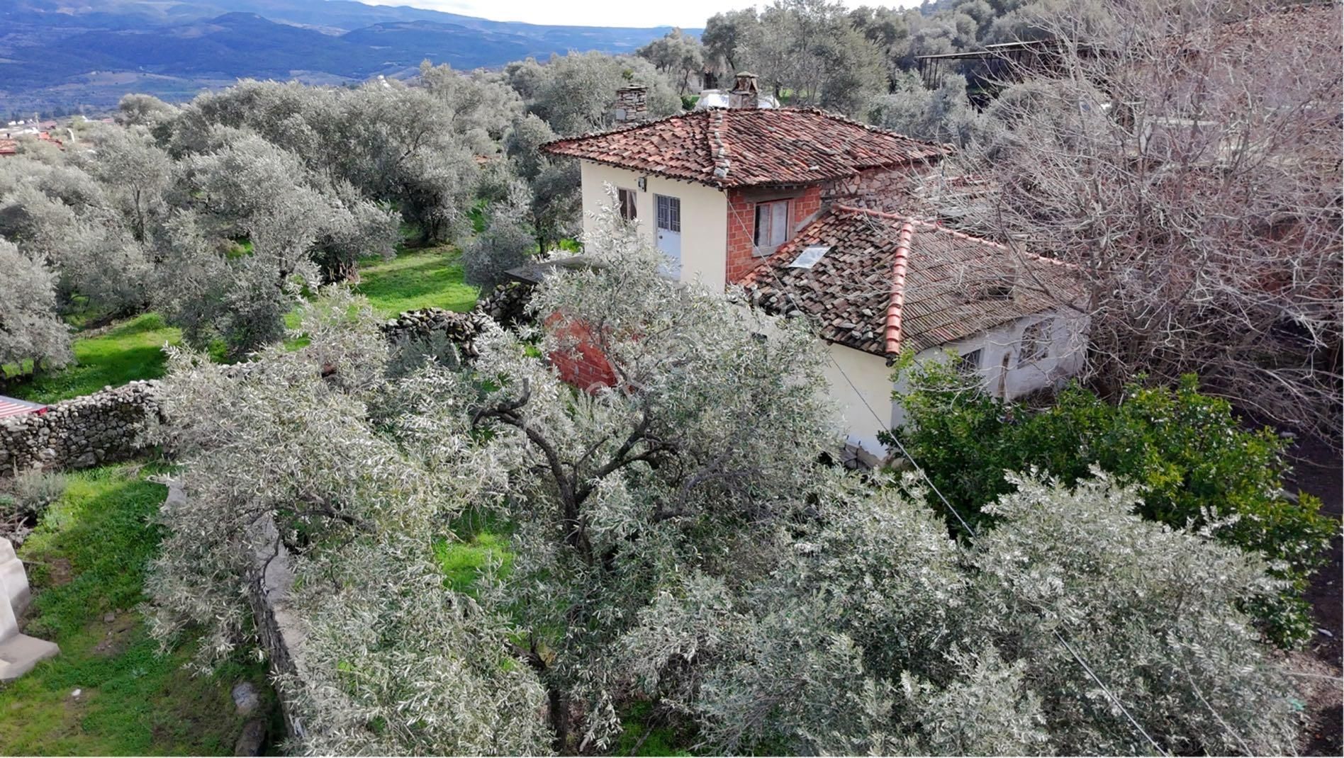 🏡 Satılık Kargir Köy Evi – Aydın / Bozdoğan / Haydere - Görsel 3