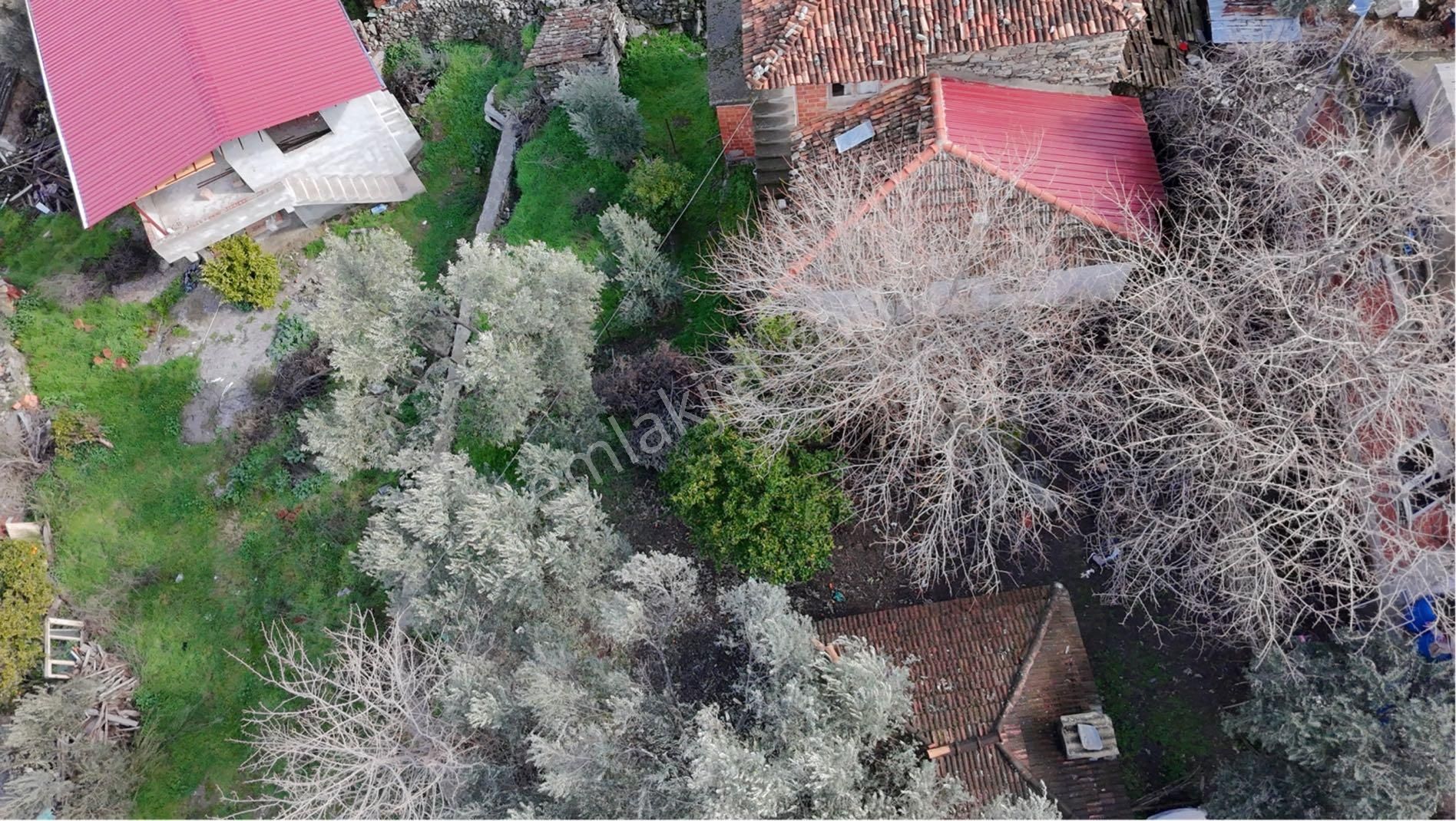 🏡 Satılık Kargir Köy Evi – Aydın / Bozdoğan / Haydere - Görsel 11