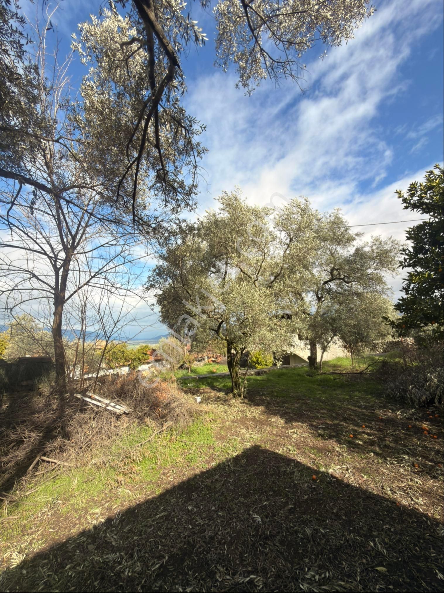 🏡 Satılık Kargir Köy Evi – Aydın / Bozdoğan / Haydere - Görsel 21