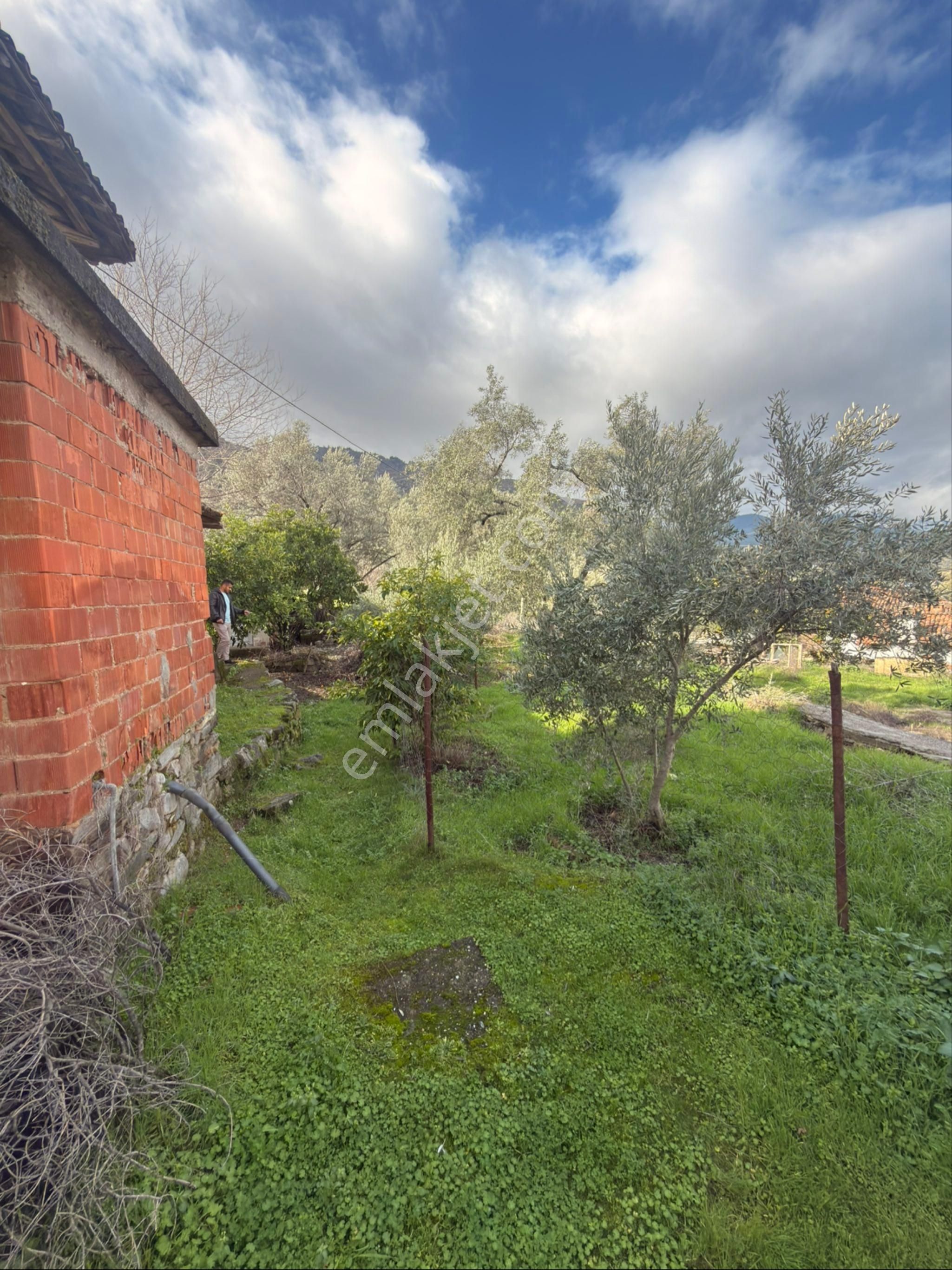 🏡 Satılık Kargir Köy Evi – Aydın / Bozdoğan / Haydere - Görsel 23