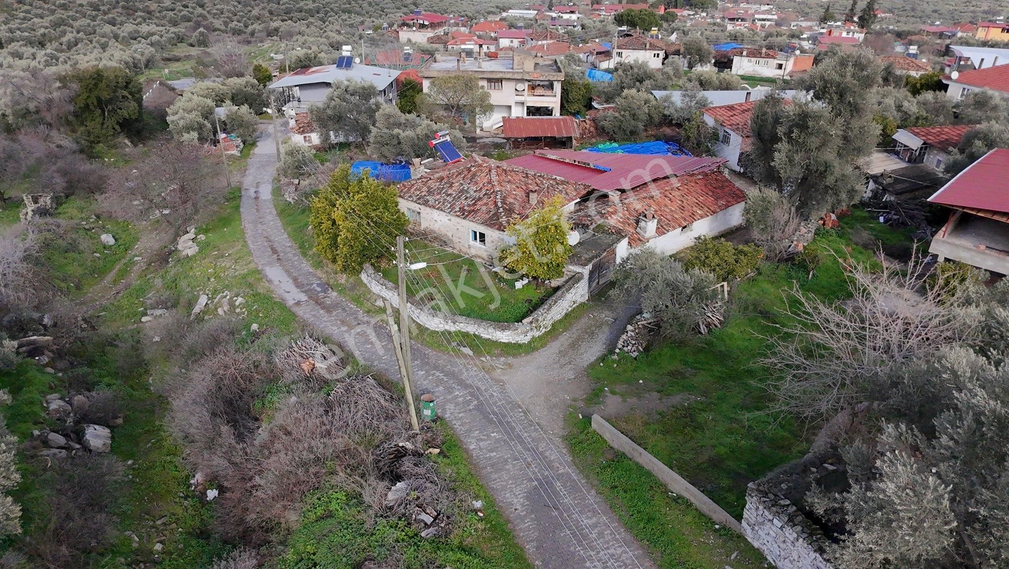 🏡 Satılık Kargir Köy Evi – Aydın / Bozdoğan / Haydere - Görsel 10
